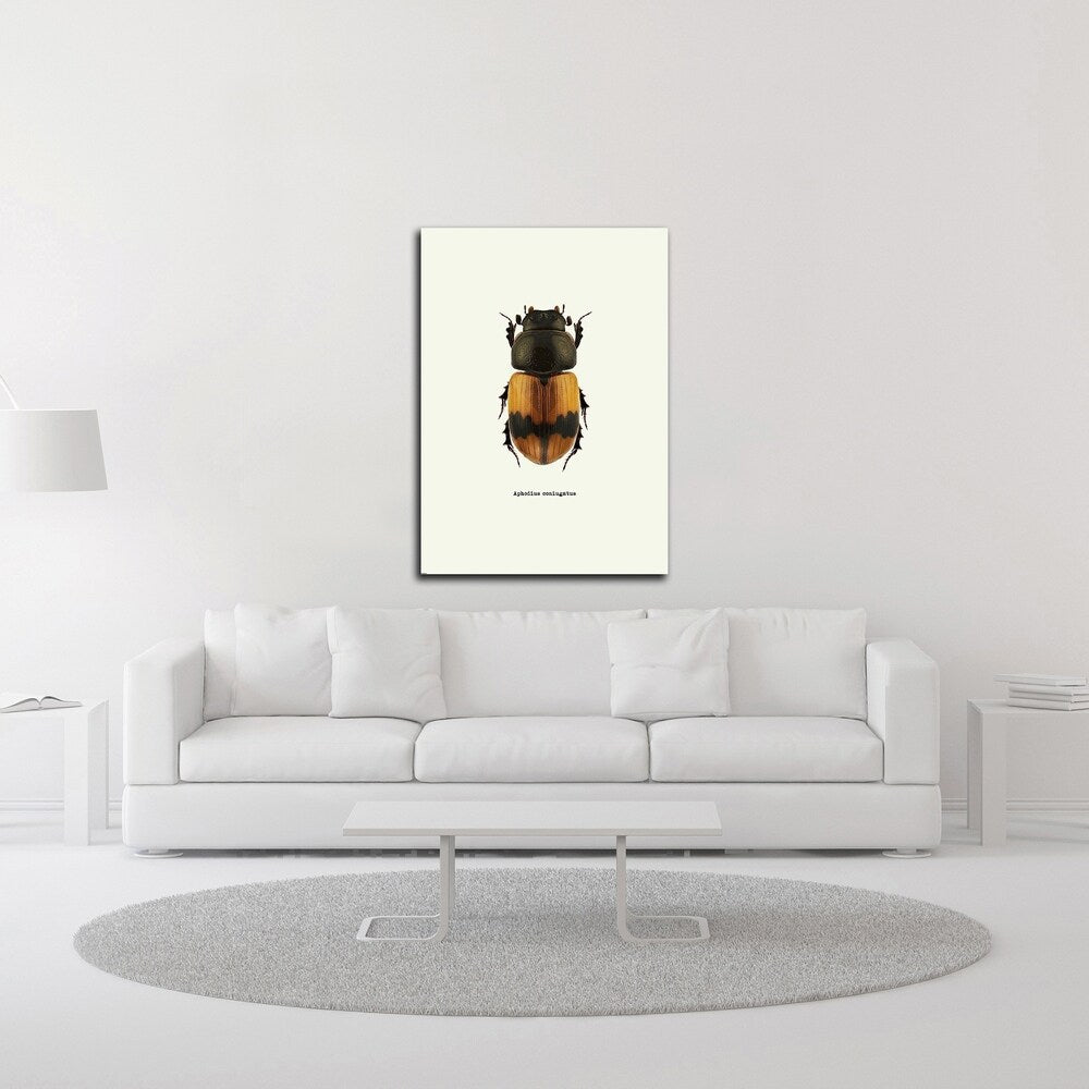 Beetle Orange by GraphINC - Premium Canvas Wall Art Print, Ready to Hang - Perfect for Living Room, Bedroom & Office Decor