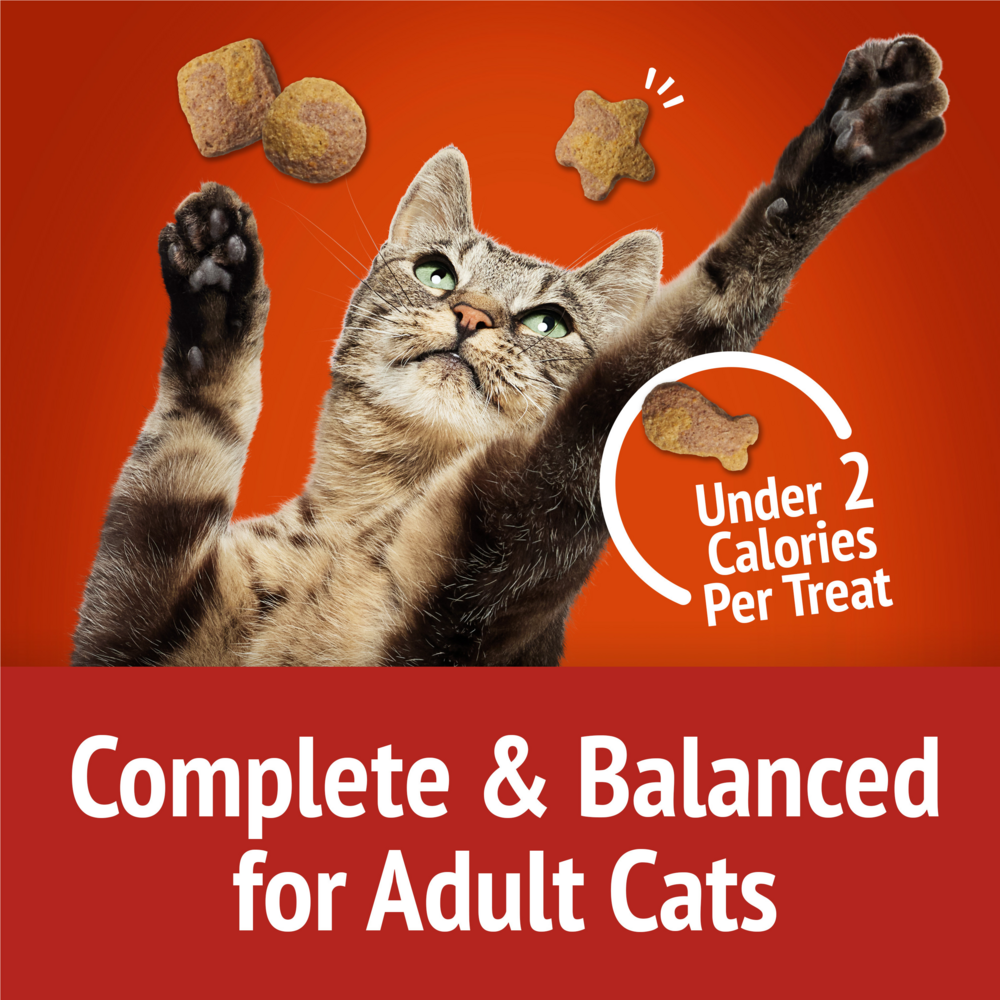 Friskies Party Mix Crunchy Cat Treats - Gravylicious Chicken & Gravy Flavors | Perfect for Training, Rewards & Bonding with Your Cat