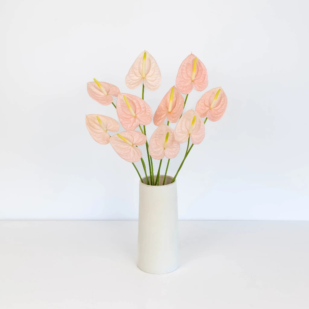 Anthurium Pink Tropical Flower - Live House Plant for Home & Office Decor - Perfect for Indoor Gardens, Gifts, and Tropical Themes