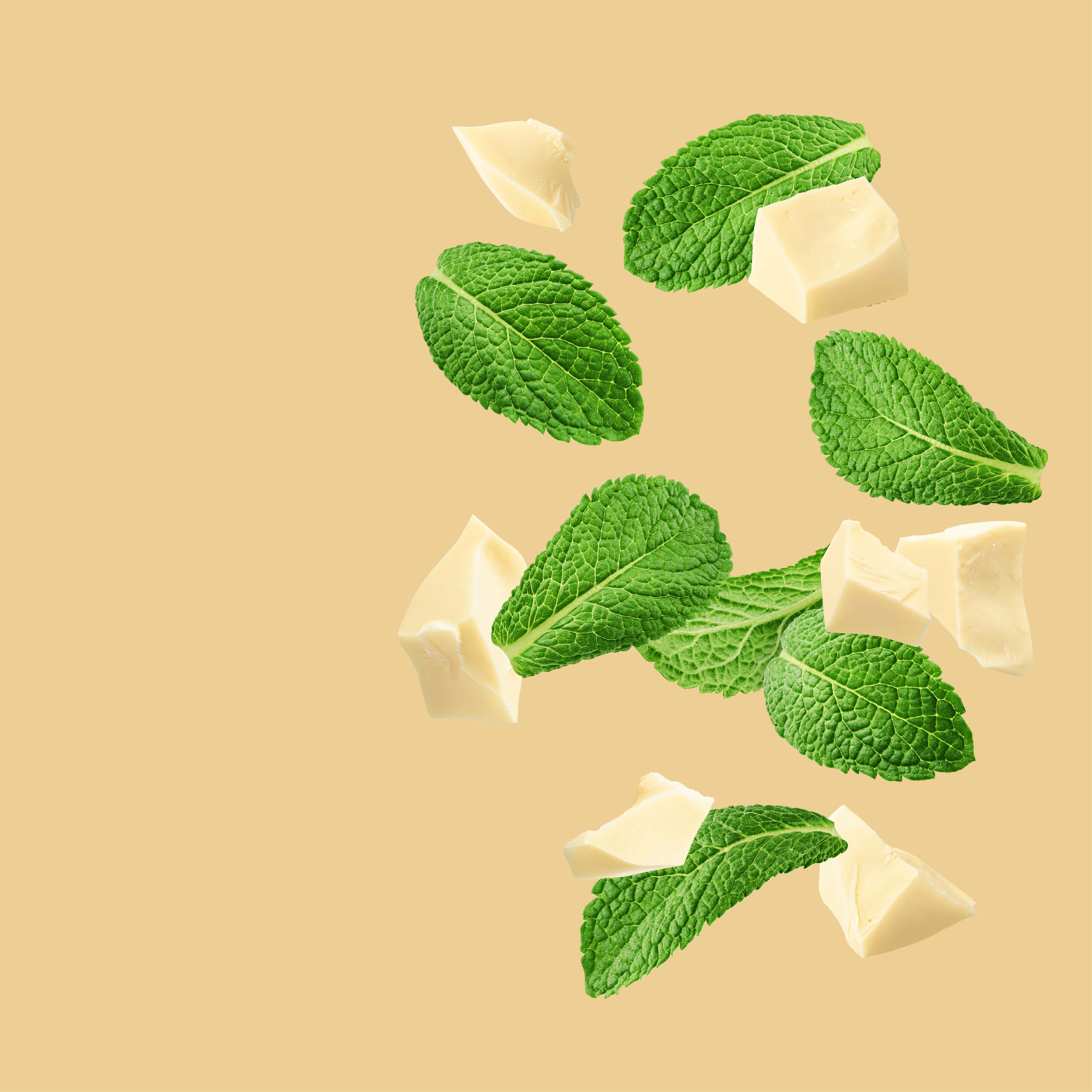 Butter Mint Candy Fragrance Oil - No.15 Essential Oil for Aromatherapy, Home & Office Use in Cold Air Diffusers