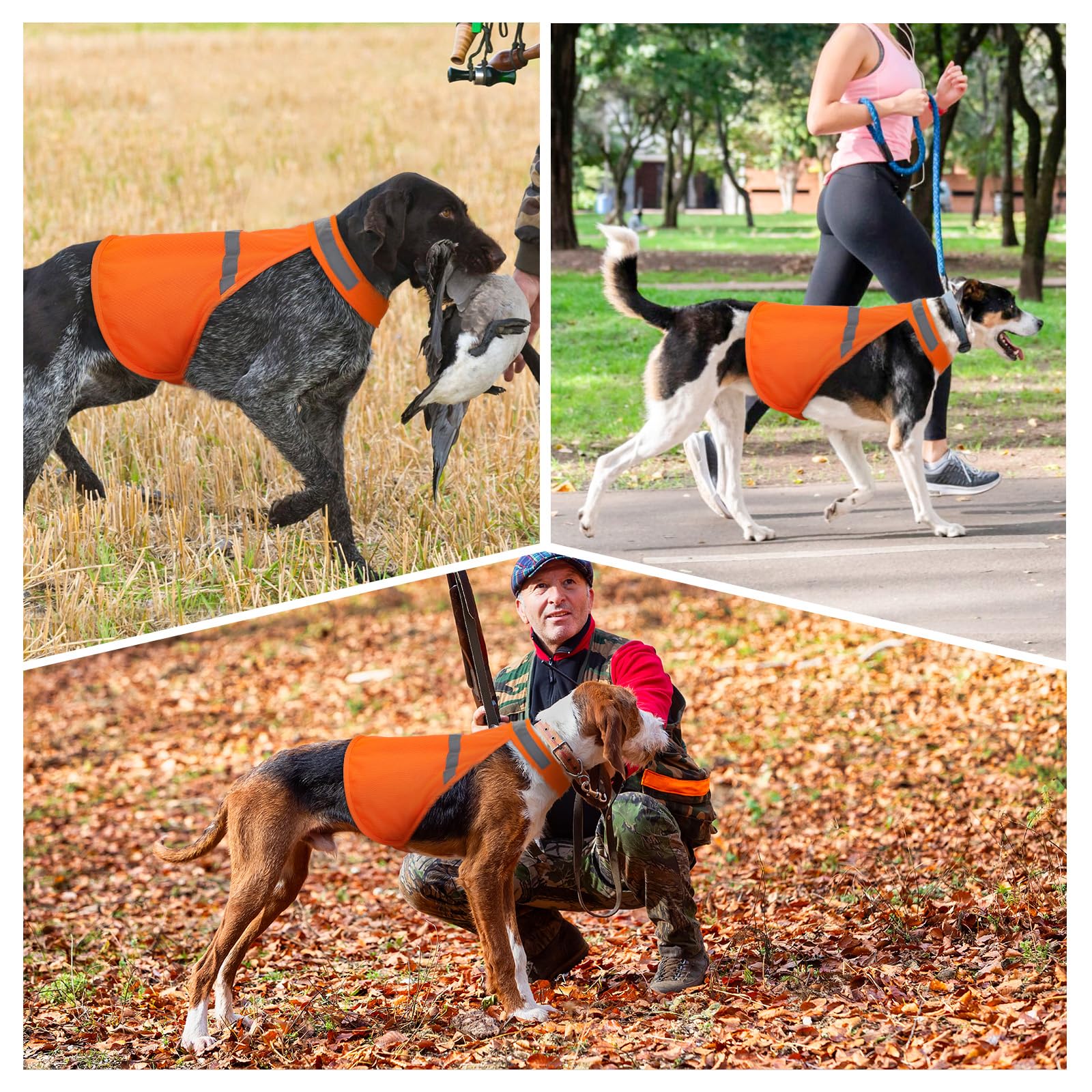 High Visibility Orange Reflective Dog Vest - Adjustable Soft Hunting Jacket for Small, Medium & Large Dogs - Perfect for Outdoor Adventures, Night Walks & Safety