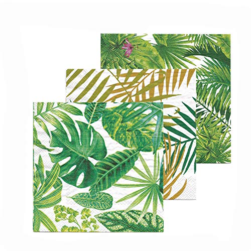TROPICAL PALM