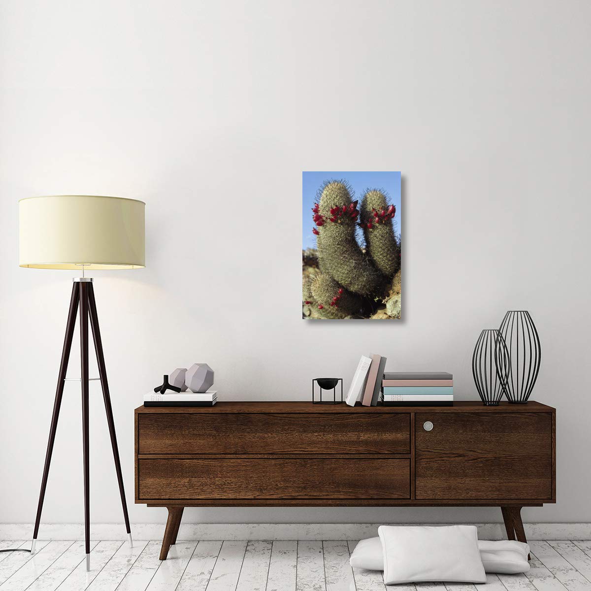 Fishhook Cactus in Bloom Canvas Art Print - 20x30 Inch Santa Catalina Island Landscape - Baja California Mexico Wall Decor for Living Room, Office & Bedroom