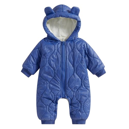 Bear Blue