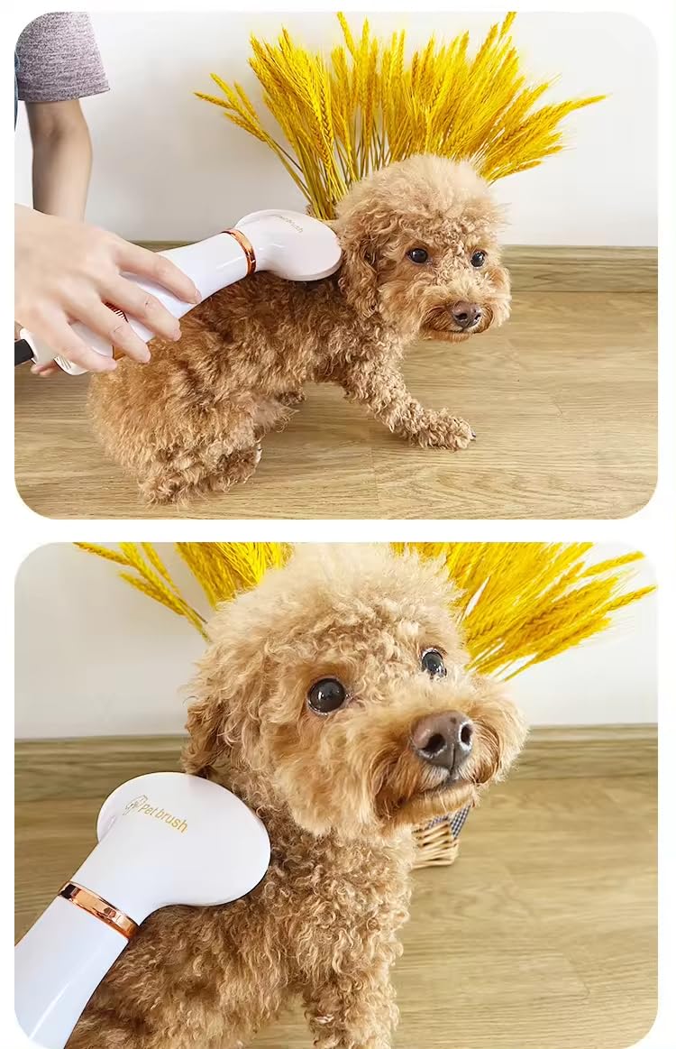 Pet Hair Dryer for Dogs & Cats - 2-in-1 Blow Dryer with Self-Cleaning Slicker Brush | Adjustable Temperature, Portable Grooming Tool | Perfect for Home Pet Grooming, Bath Time & Professional Use (Round)