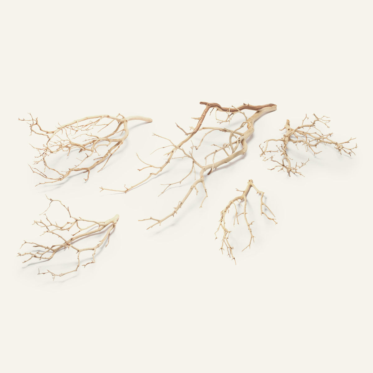Natural Sandblasted Manzanita Driftwood for Aquarium Decor - Unique Hardwood Branches for Fish Tanks, Reptile Habitats & Home Decoration