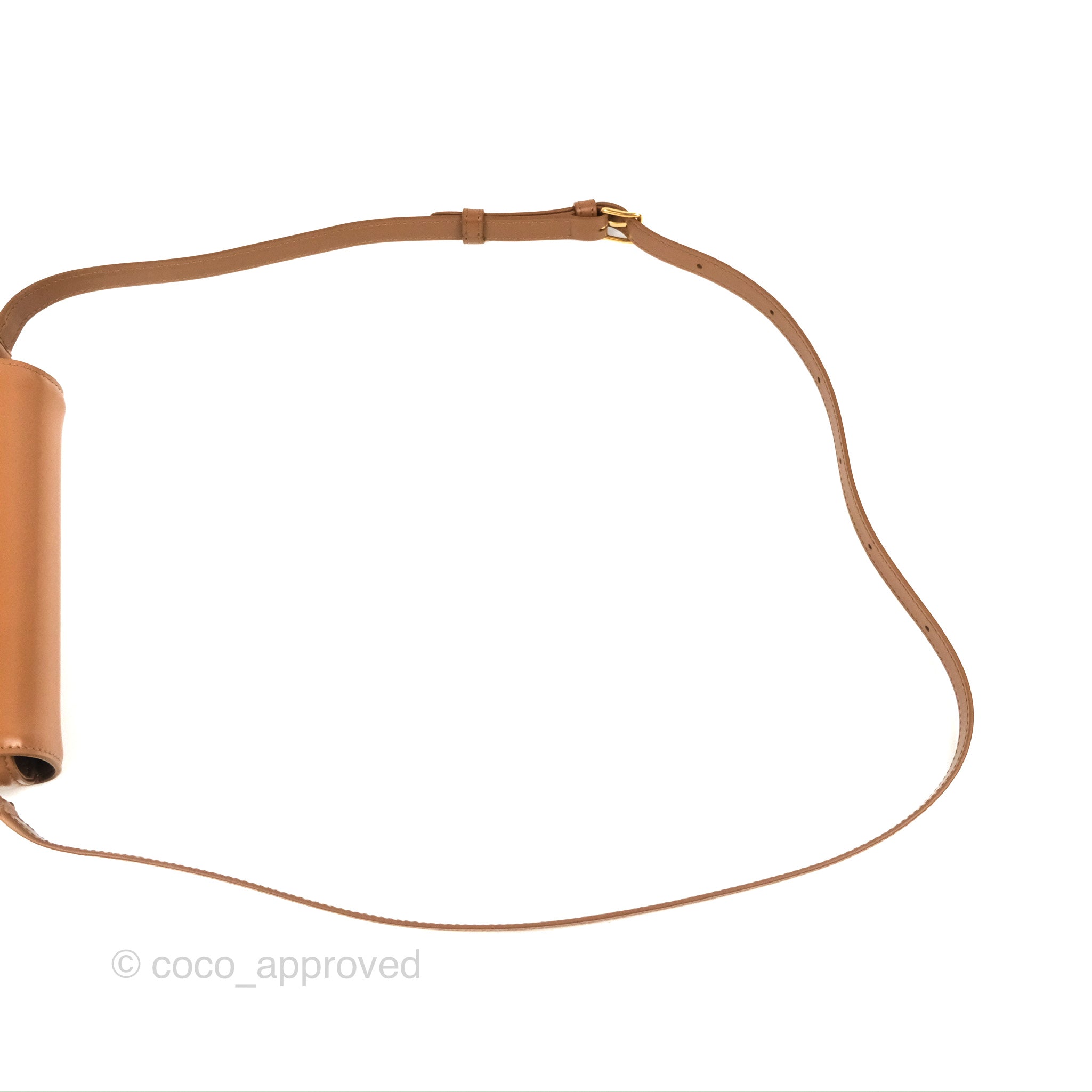 Celine Teen Triomphe Bag in Shiny Calfskin Bronze - Luxury Crossbody Purse for Women, Perfect for Date Night & Evening Events