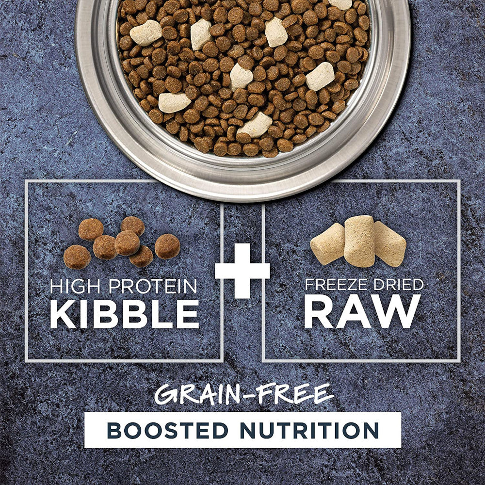 Grain-Free Salmon Dry Cat Food - Raw Boost Kibble for Adult & Senior Cats - High Protein, Natural Ingredients - Perfect for Indoor & Outdoor Cats