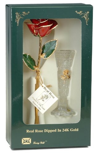 24k Gold Dipped Real Rose with Crystal Vase - Luxury Eternal Flower Gift for Anniversary, Valentine's Day & Home Decor (Living Gold Red)
