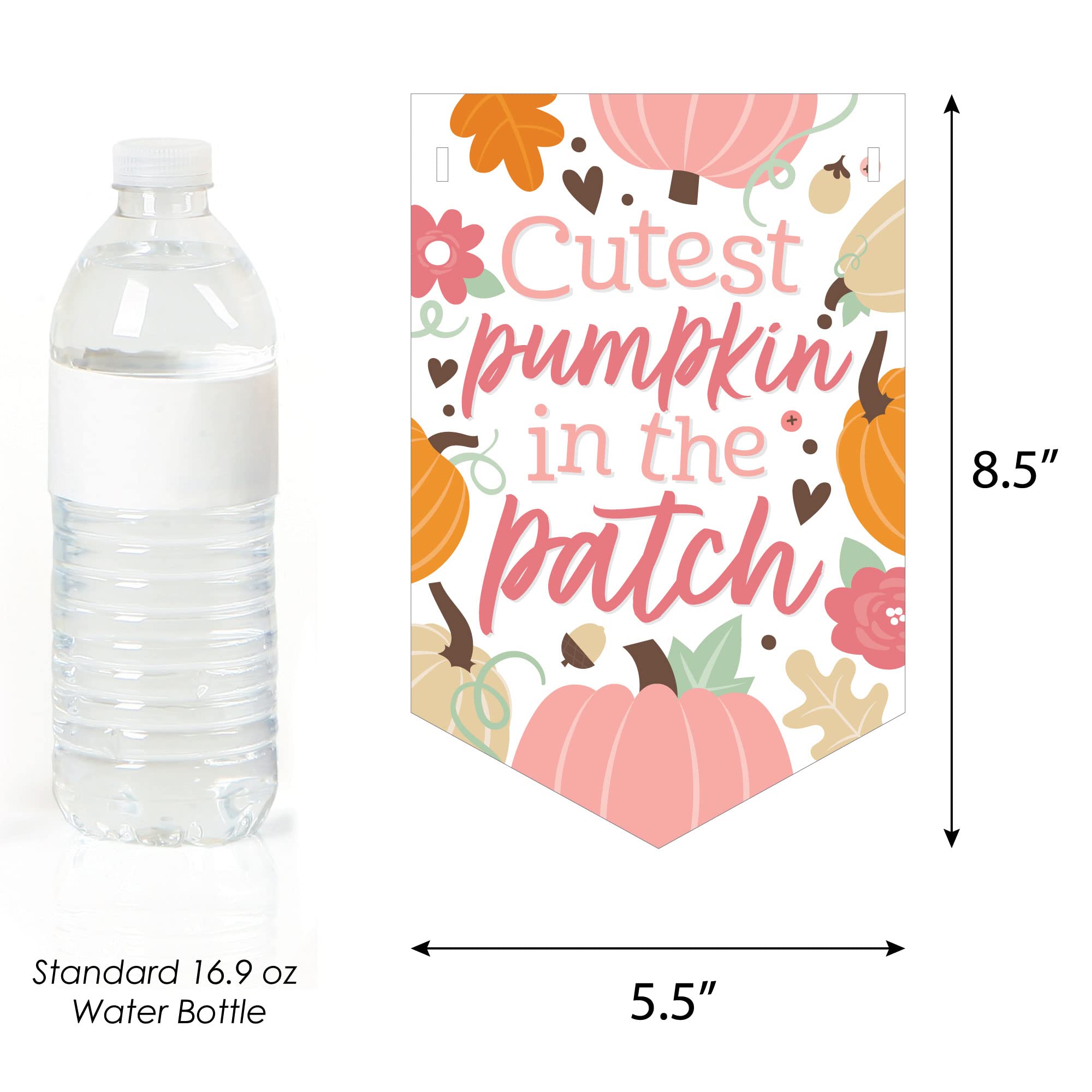 Big Dot of Happiness Girl Little Pumpkin Bunting Banner - Fall Birthday Party & Baby Shower Decorations - Adorable Pumpkin-Themed Party Decor for Autumn Celebrations, Nursery, and Halloween Events