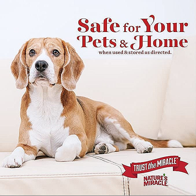 Original Stain and Odor Remover Spray - Powerful Cleaning Solution for Pet Accidents, Carpets & Upholstery | Eco-Friendly & Safe for Home Use