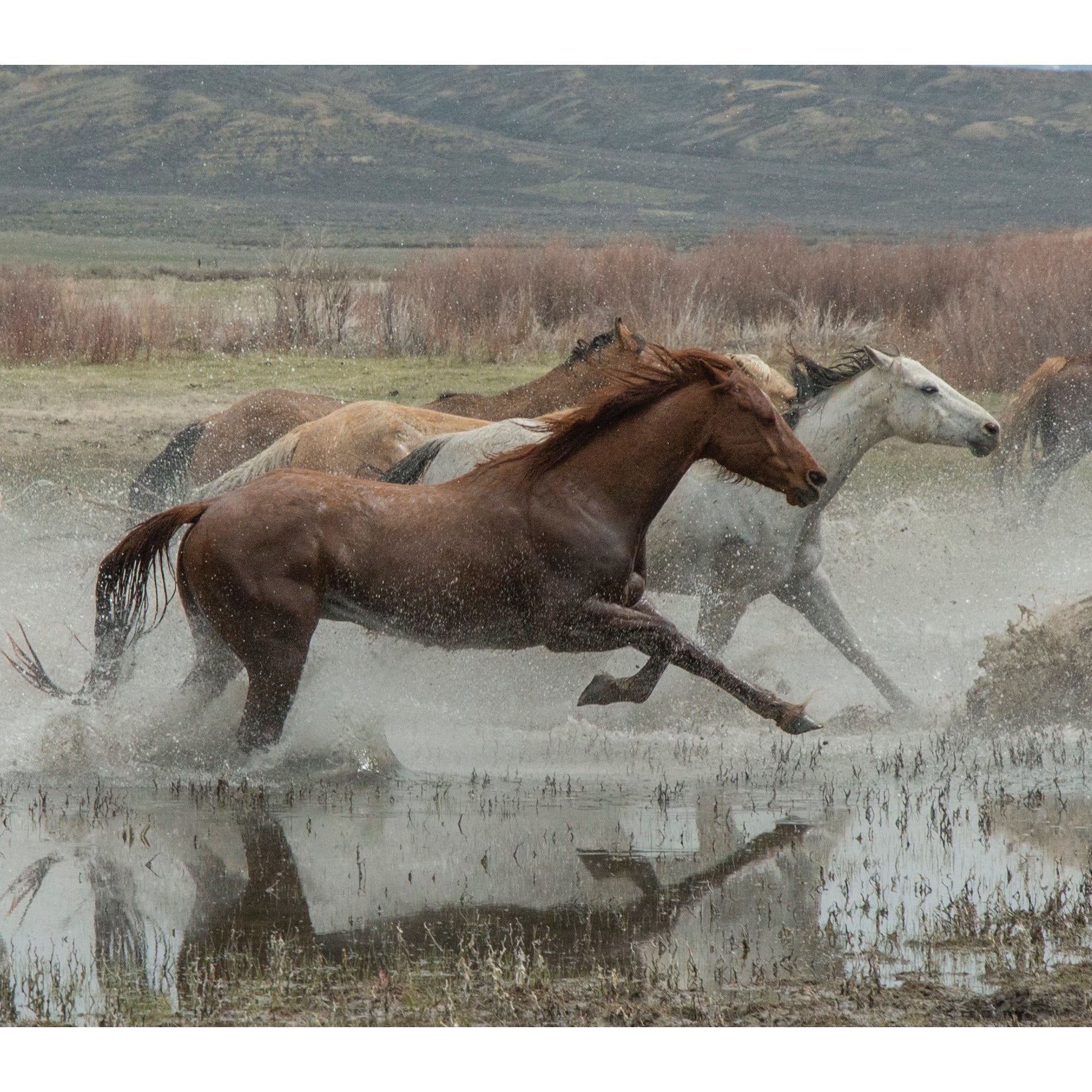 Sandra Lee Kaplan Reach Photo Print on Premium Archival Paper - Perfect for Home Decor, Art Collectors & Gift Giving