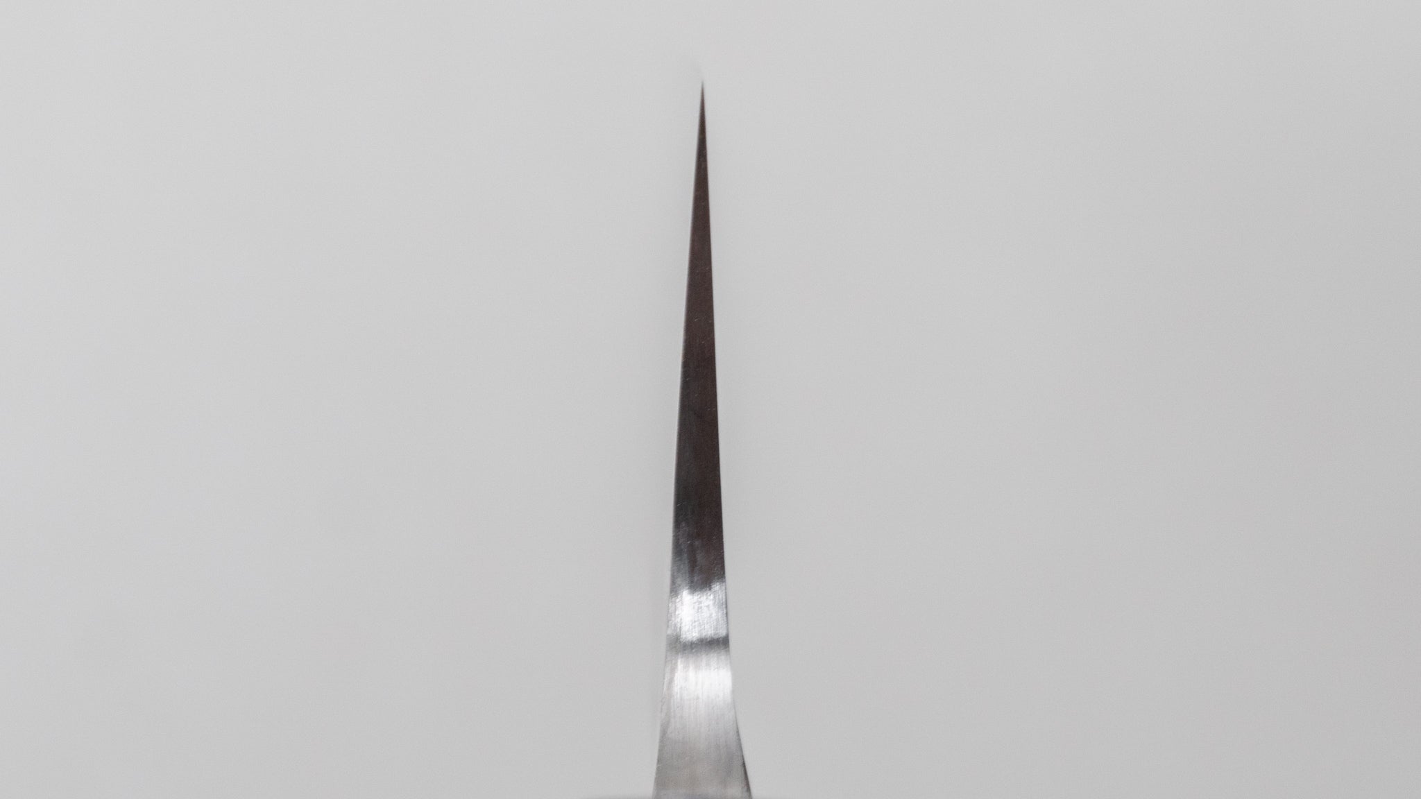 Premium Jiro Tsuchime Wa Sujihiki 270mm Japanese Slicing Knife with Taihei Tagayasan Handle (#576) - Perfect for Sushi, Sashimi & Meat Carving