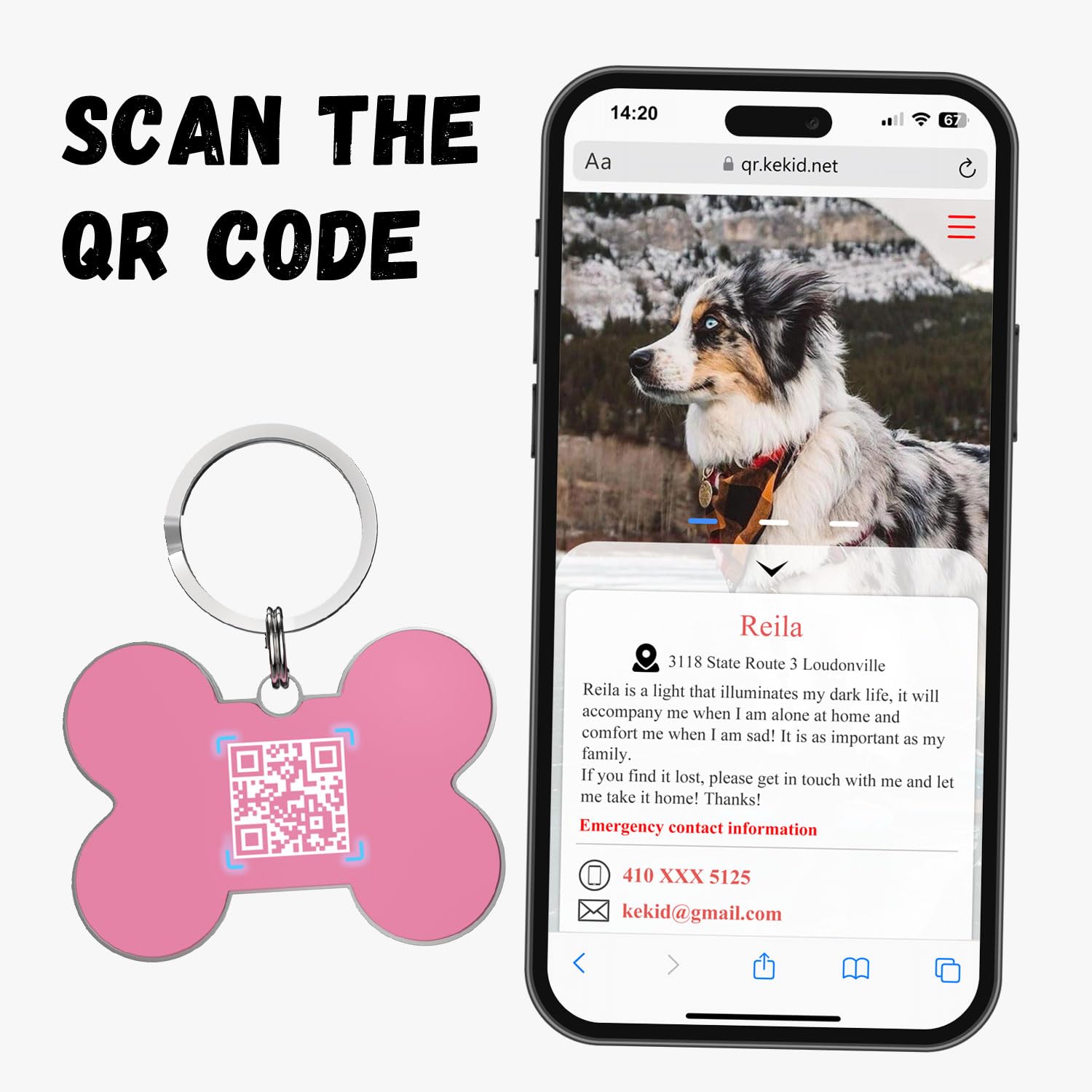 QR Code Dog Tag - Personalized Pet ID Tag with Custom Name & Instant Location Alerts | Waterproof & Durable for Dogs & Cats | Perfect for Travel, Hiking & Daily Walks