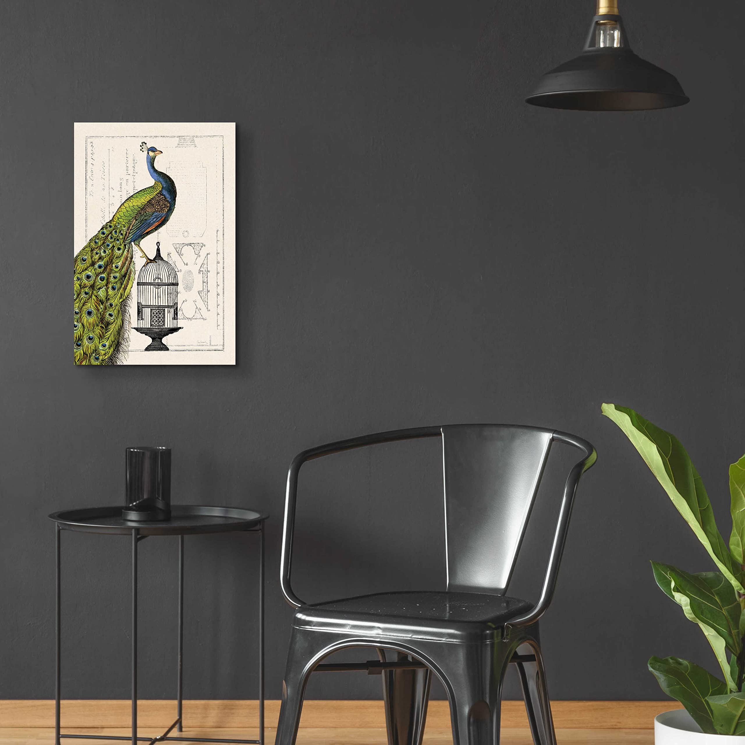 Epic Art 'Peacock Birdcage I' by Sue Schlabach - 16x24 Inch Acrylic Glass Wall Decor, Modern Home & Office Artwork - Perfect for Living Room, Bedroom or Gallery Wall Display