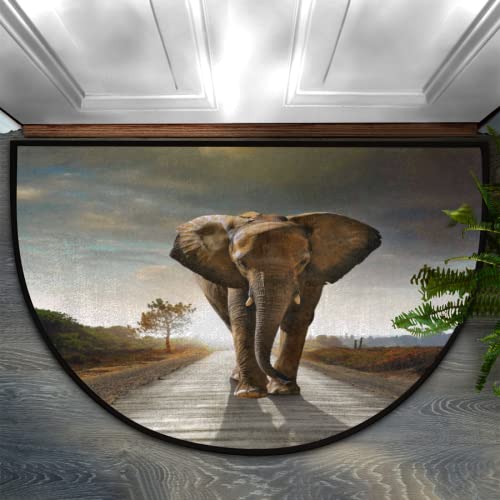 African Elephant