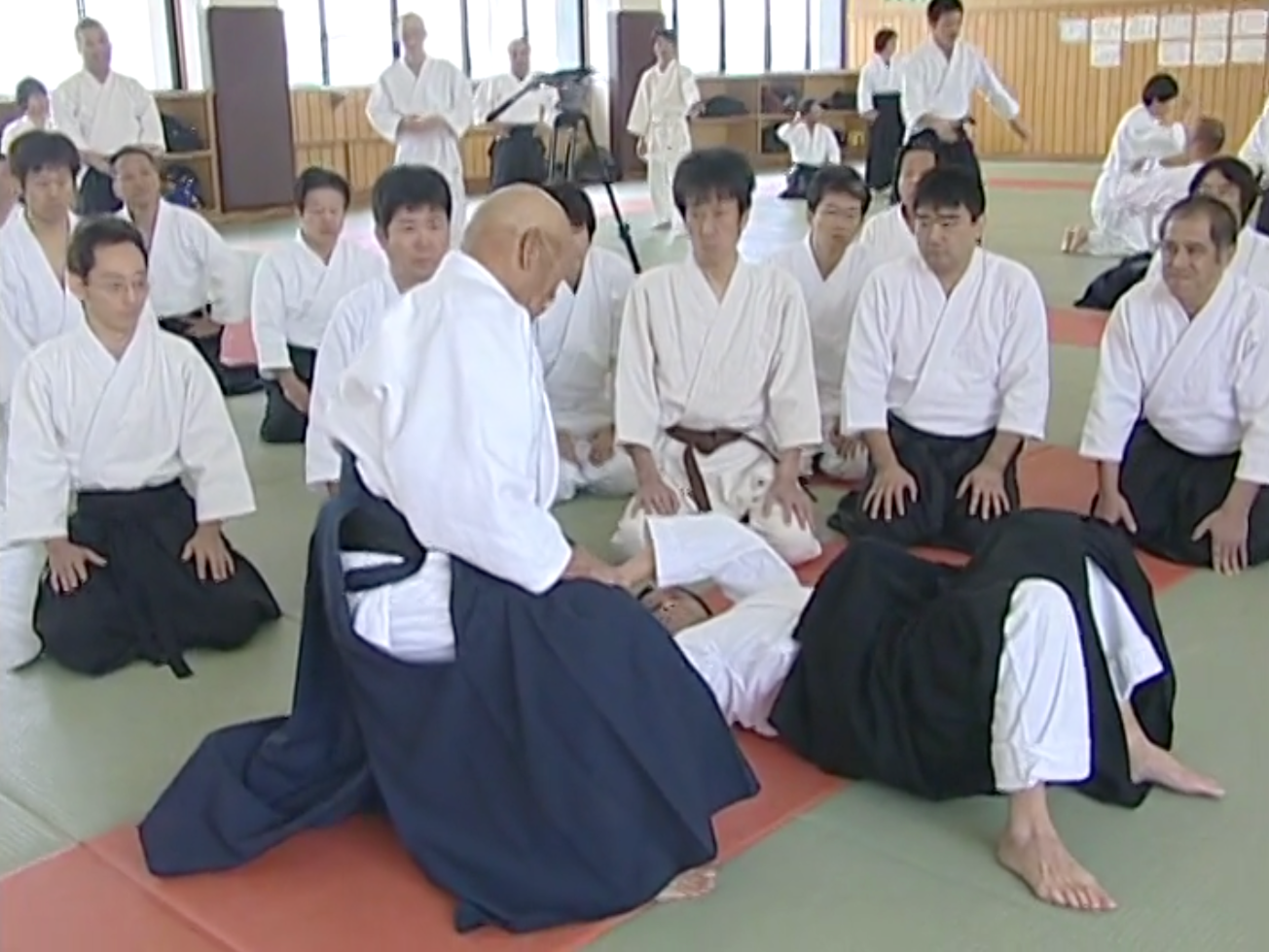 Nobuyuki Watanabe Aikido Training DVD - August 2004 Edition (Used) | Martial Arts Instructional Video for Self-Defense & Fitness