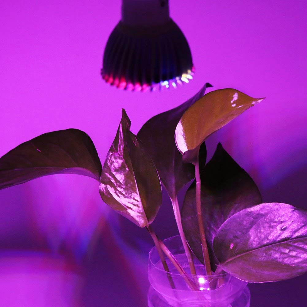 28W Full Spectrum LED Grow Light Bulb for Indoor Plants, Flowers, Hydroponic Vegetables - E14 Base Plant Growing Lamp for Home Garden, Greenhouse & Seed Starting - Energy Efficient 28W LED Grow Light