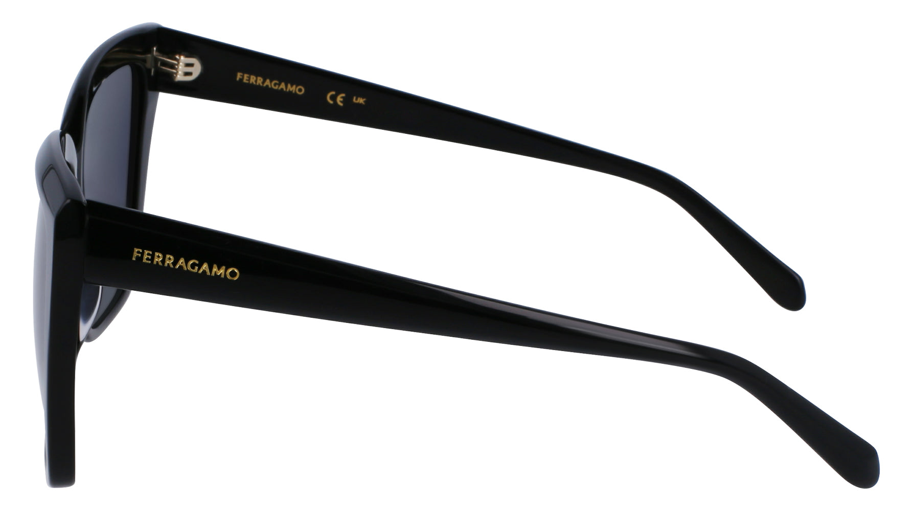 Ferragamo SF1102S Sunglasses for Women - Luxury Designer Shades with UV Protection - Perfect for Outdoor Activities, Travel & Fashion Accessories