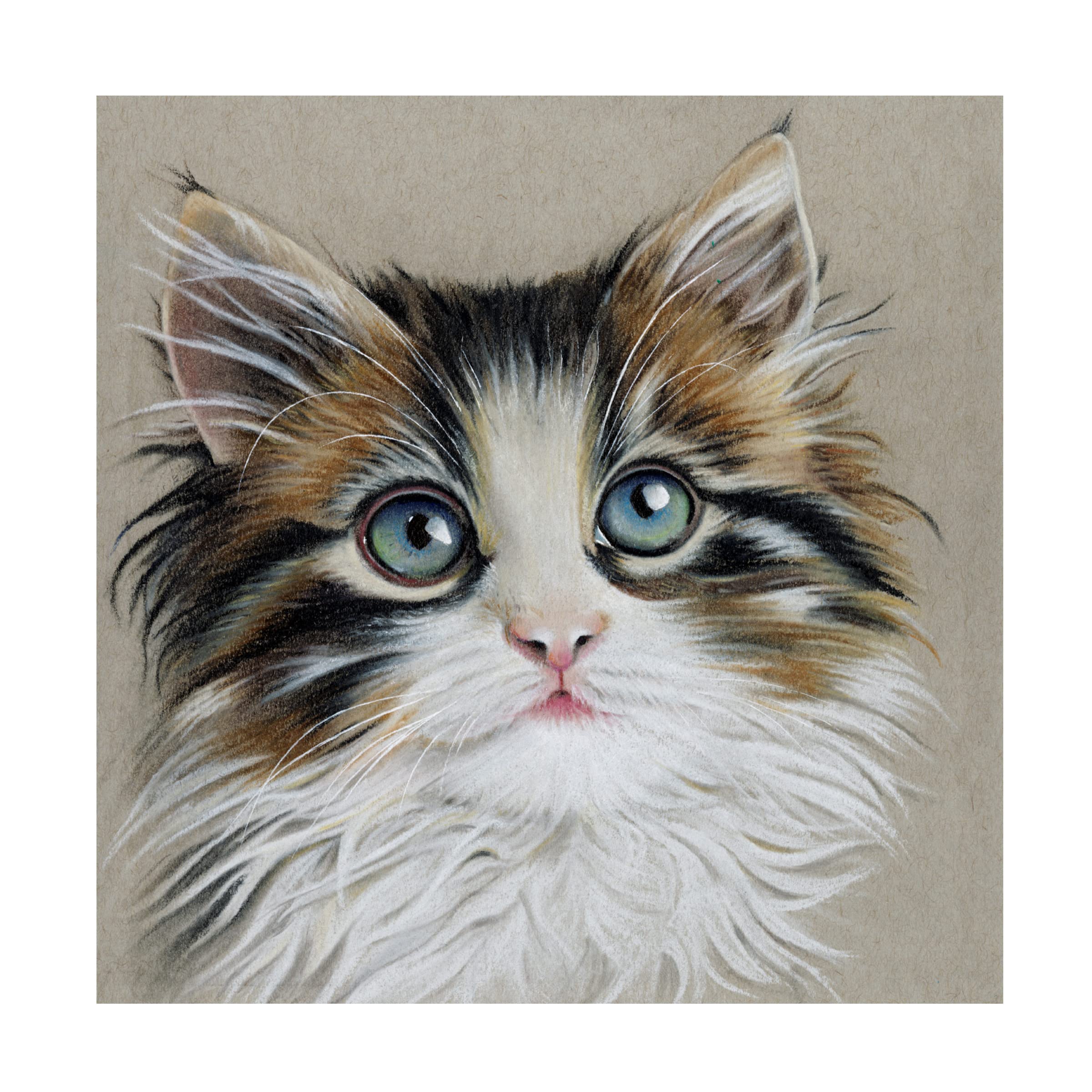Trademark Fine Art 'Kitten Portrait II' by Lily Liama - Stretched Canvas Wall Art for Living Room, Bedroom & Office Decor
