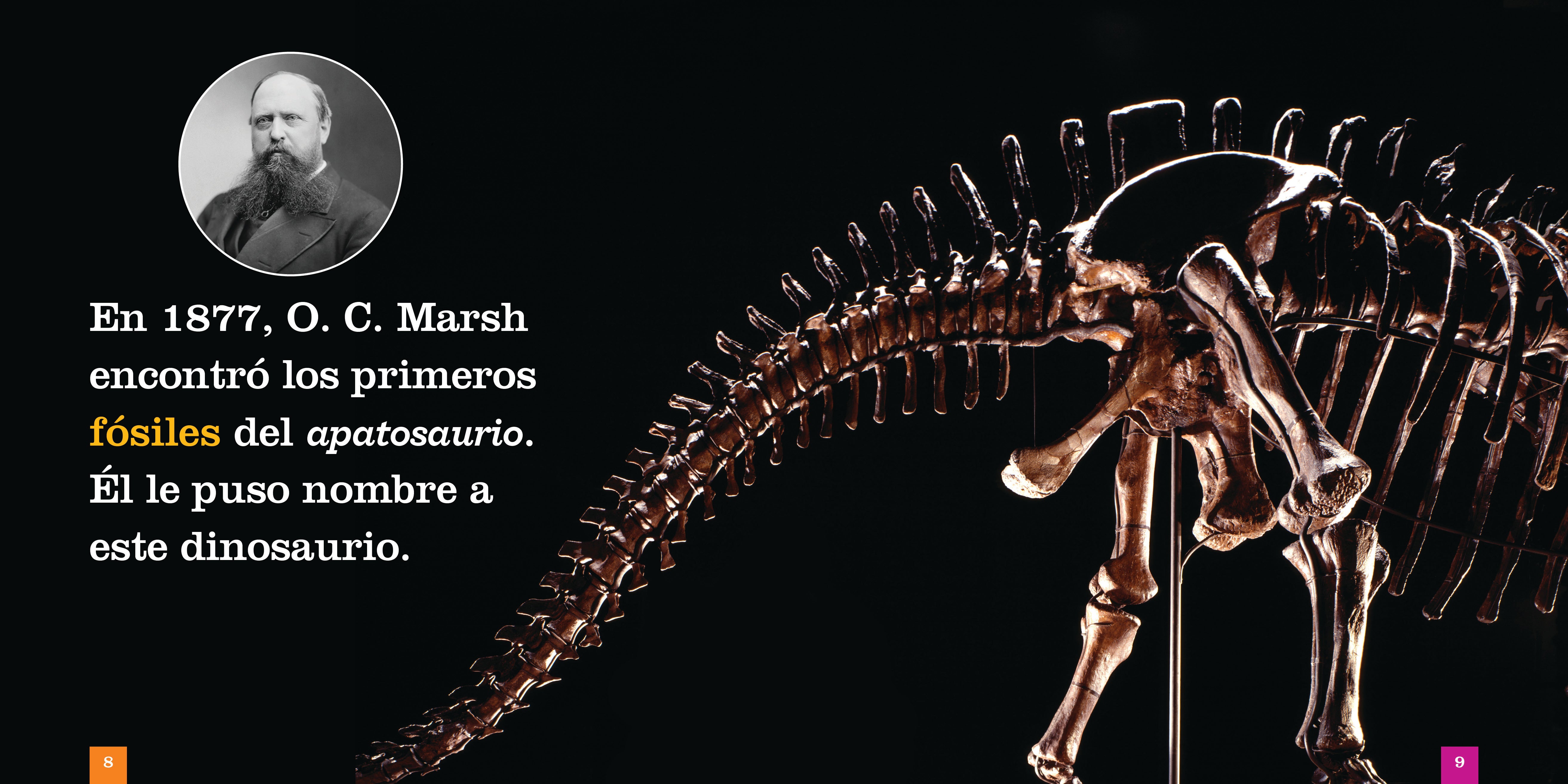 Dinosaur Book for Kids: Apatosaurus - 9781640267299 | Fun Learning & Bedtime Stories