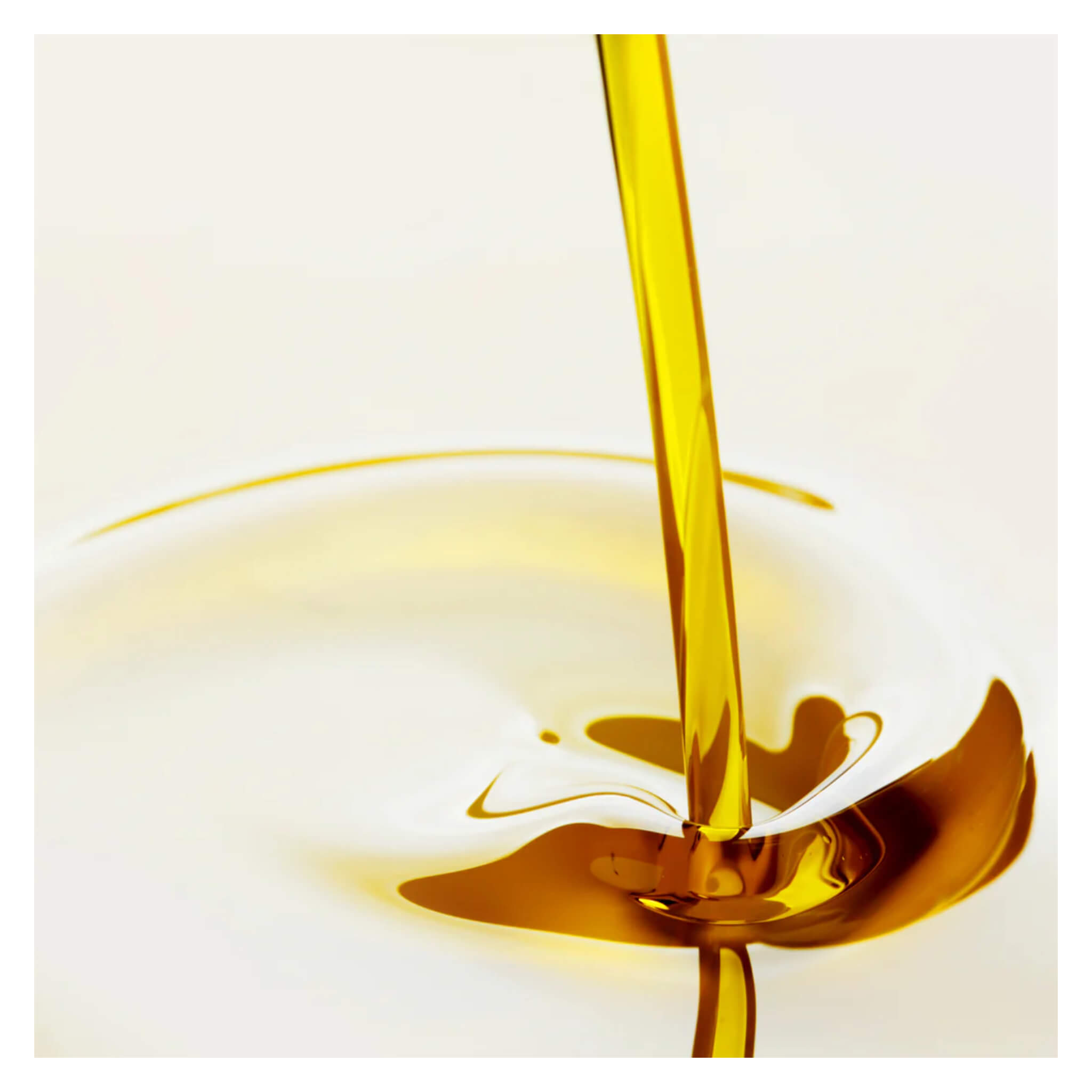 Pure Black Seed Oil (Nigella Sativa) - Cold Pressed, 100% Natural, USDA Organic - Supports Immunity & Skin Health - Perfect for Cooking, Hair Care & Wellness