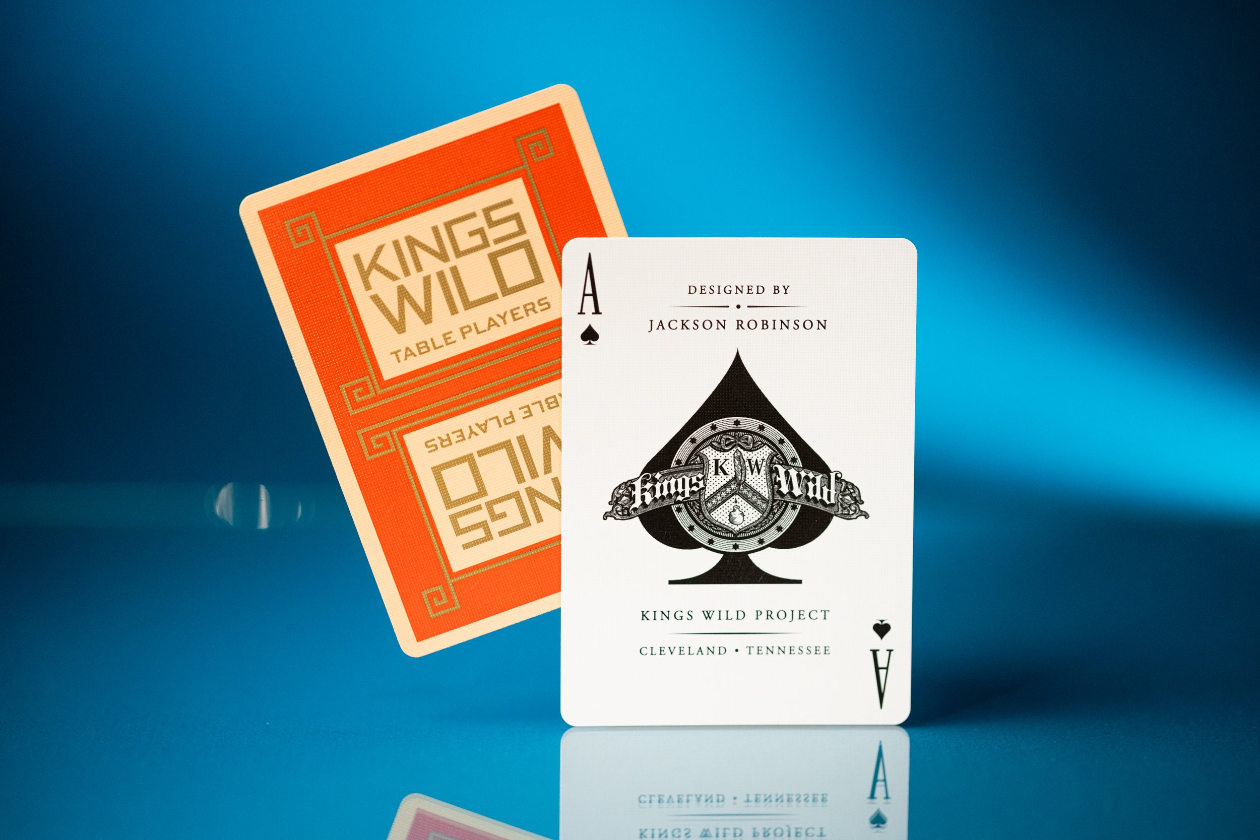 Table Players Vol. 32 - Premium Board Game Accessories for Tabletop RPGs & Strategy Games | Perfect for Game Nights, Conventions & Roleplaying Sessions
