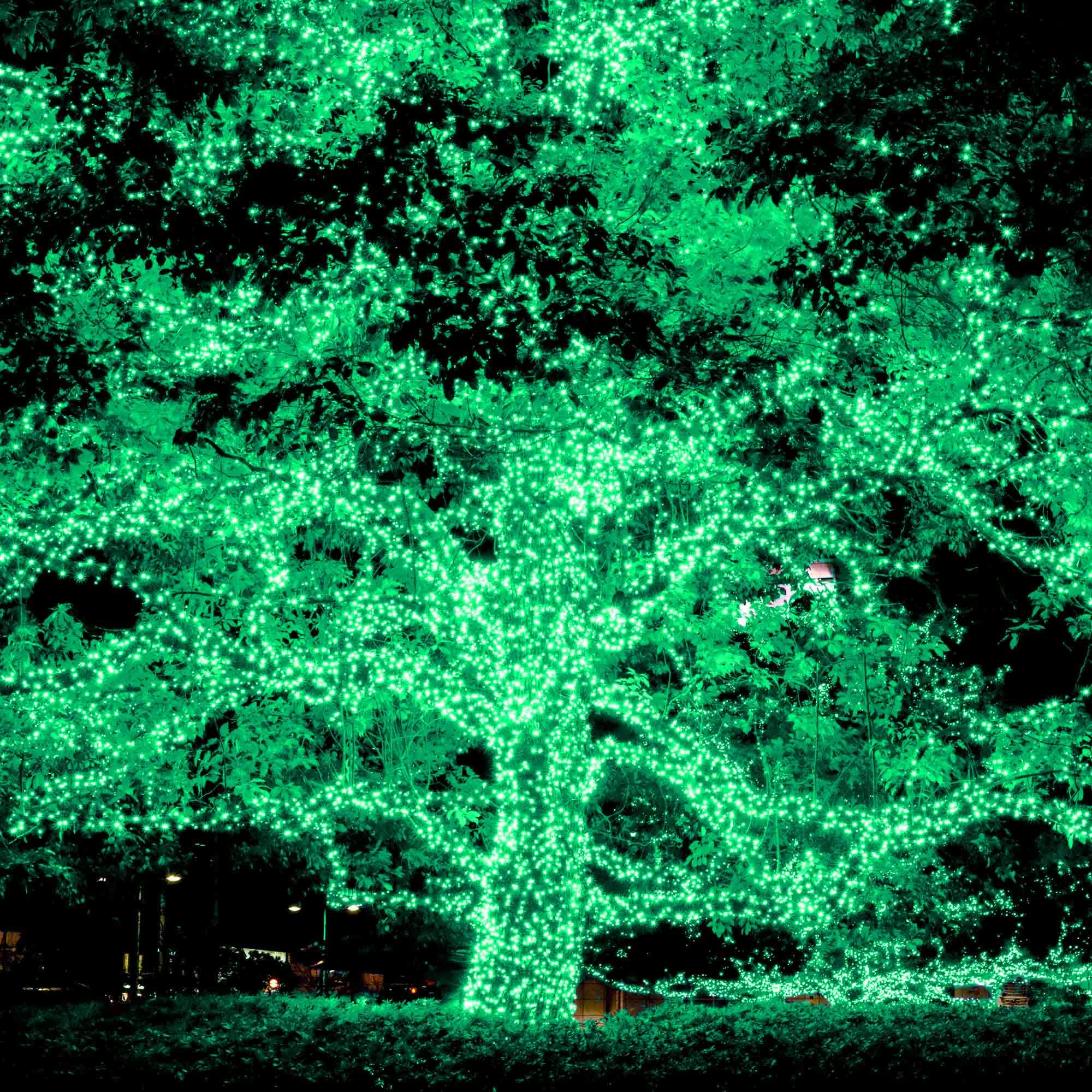 Yescom 8Pcs 36FT 100 LED Solar String Lights - Waterproof Outdoor Christmas Lights for Garden, Yard, Tree, Wedding & Party Decorations | Perfect for Holiday, Patio, Landscape and Special Event Lighting
