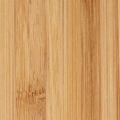 Bamboo