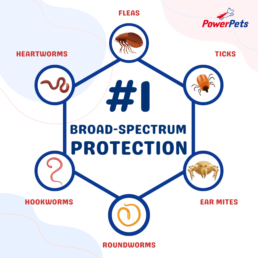 FDA Approved Revolution for Dogs & Cats - Flea & Worm Prevention Topical Treatment | Vet Recommended Spot-On Solution for Puppies, Kittens & Adult Pets | Home & Travel Protection