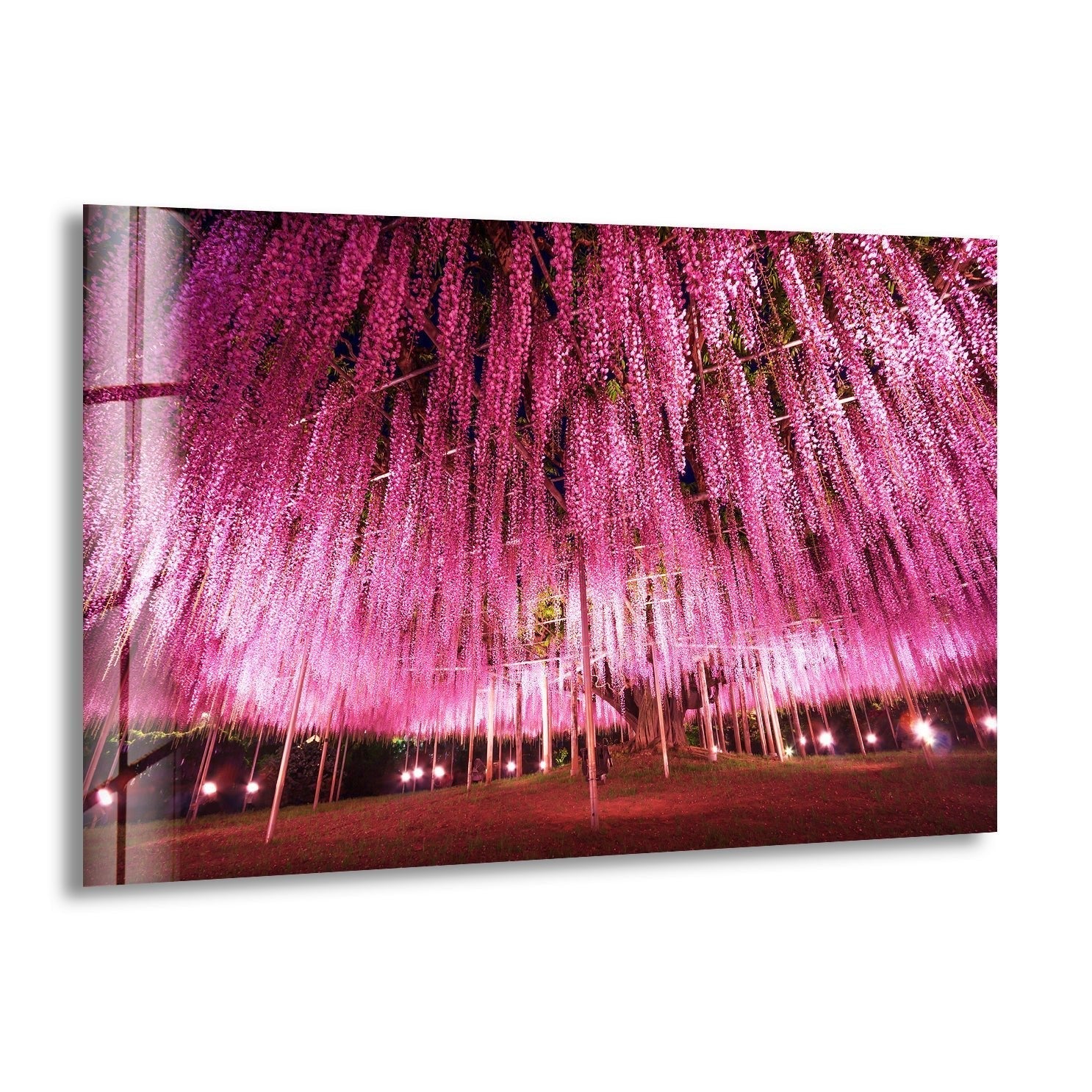 Ashikaga Flower Park Glass Wall Art - Japanese Wisteria Floral Decor for Living Room, Bedroom & Office - Perfect Home Decoration Gift