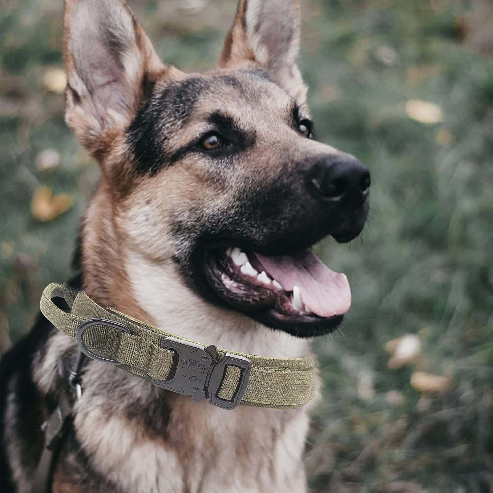 Tactical Dog Collar - Heavy Duty Adjustable Nylon Military Collar with Metal Buckle & Handle for Medium & Large Dogs - Perfect for Training, Hiking & Outdoor Adventures (Green, Medium)