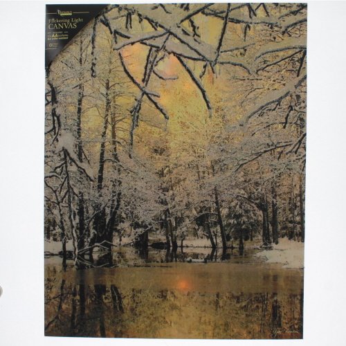 Ohio Wholesale LED Backlit Ice Storm Canvas Wall Art with Timer - Modern Home Decor for Living Room, Bedroom & Office