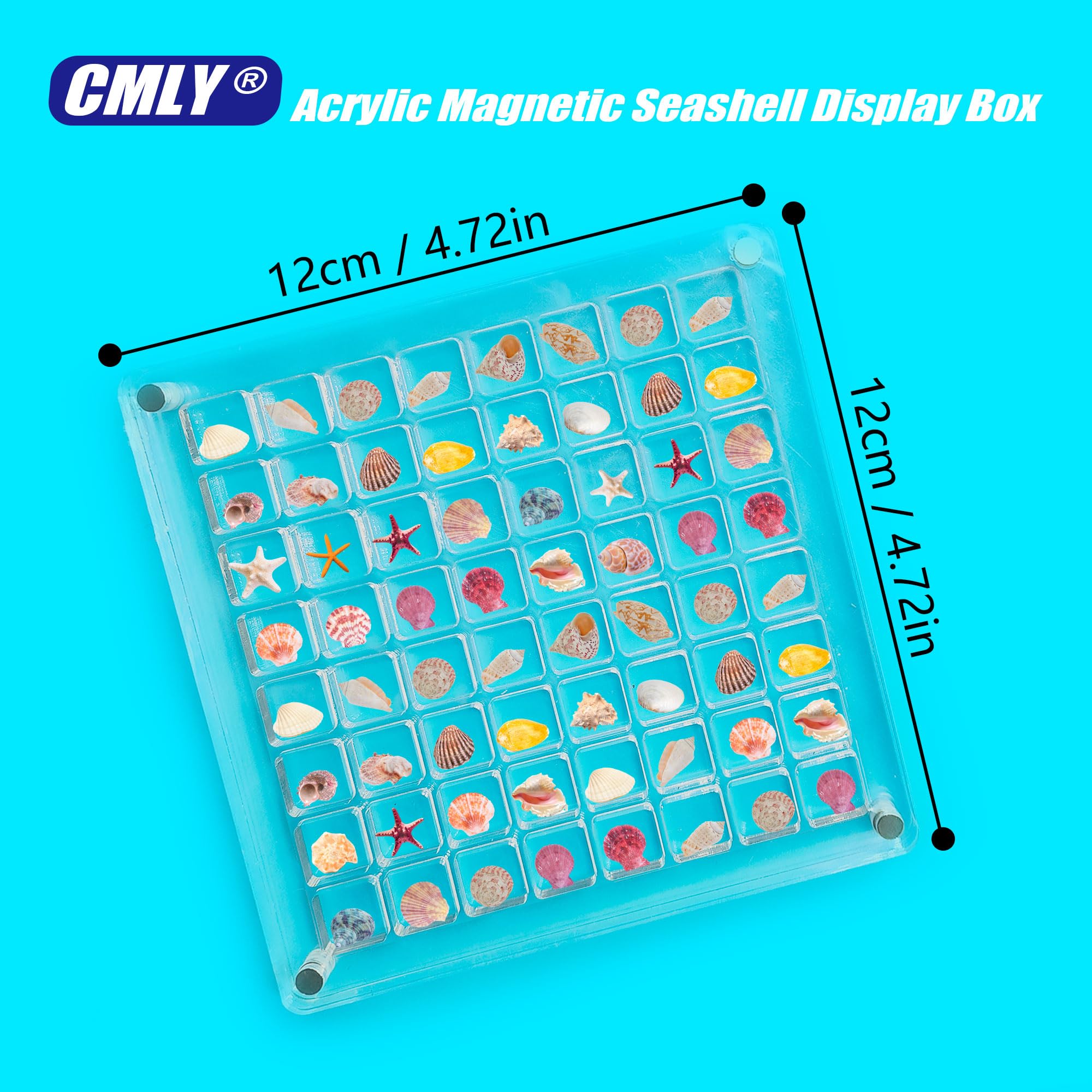 64 Grids Clear Acrylic Magnetic Seashell Display Box - Multifunctional Jewelry Organizer Case for Necklaces, Earrings & Small Collectibles | Perfect for Beach Themed Decor, Retail Store Displays & Home Organization