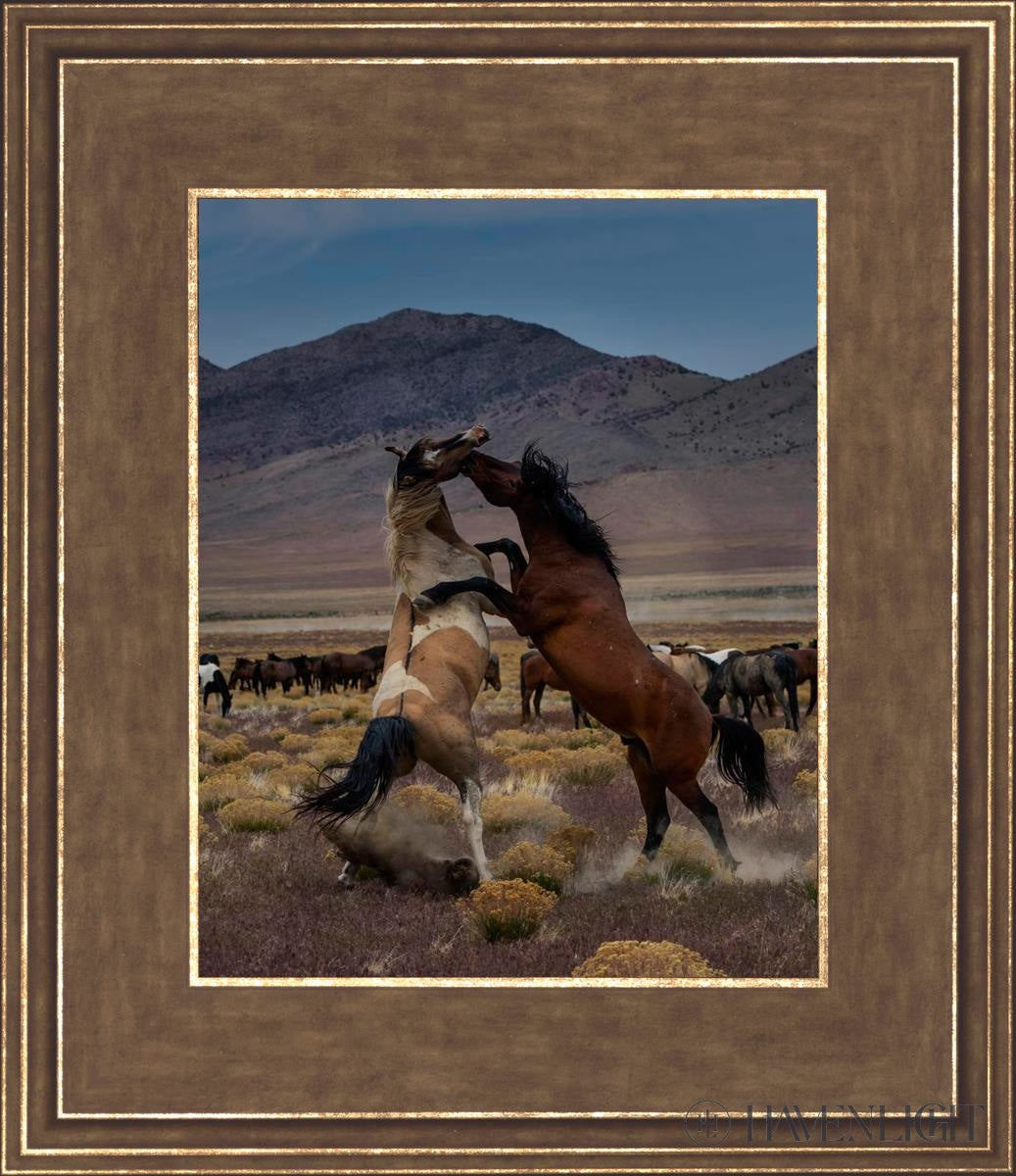 Desert Duel 1 by Greg Sargent - Western Adventure Novel for Adults | Perfect for Book Clubs, Gifts & Western Fiction Fans