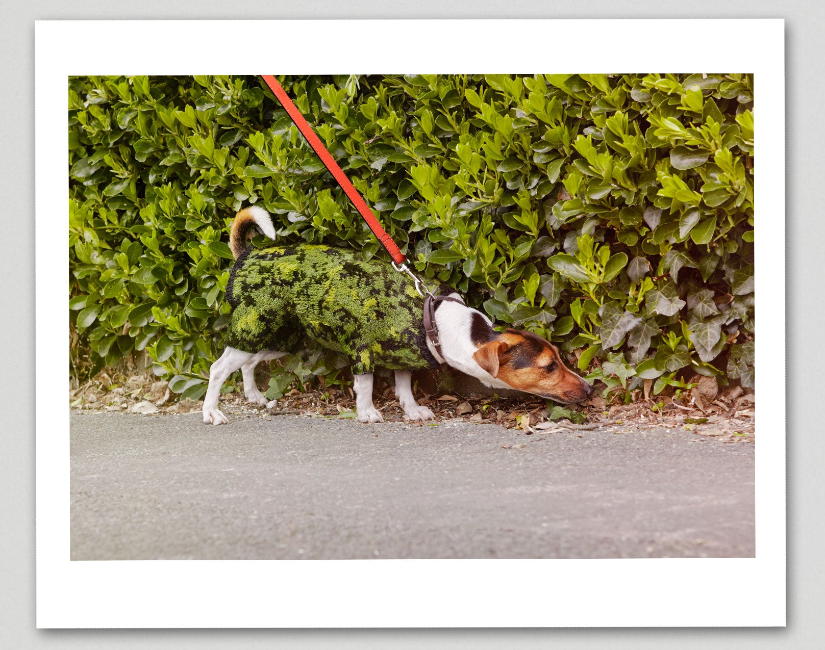 Limited Edition Signed Art Print & Book 'Invisible Jumpers' - Exclusive Collectible for Art Lovers & Book Enthusiasts | Perfect for Home Decor, Gifts & Art Collections