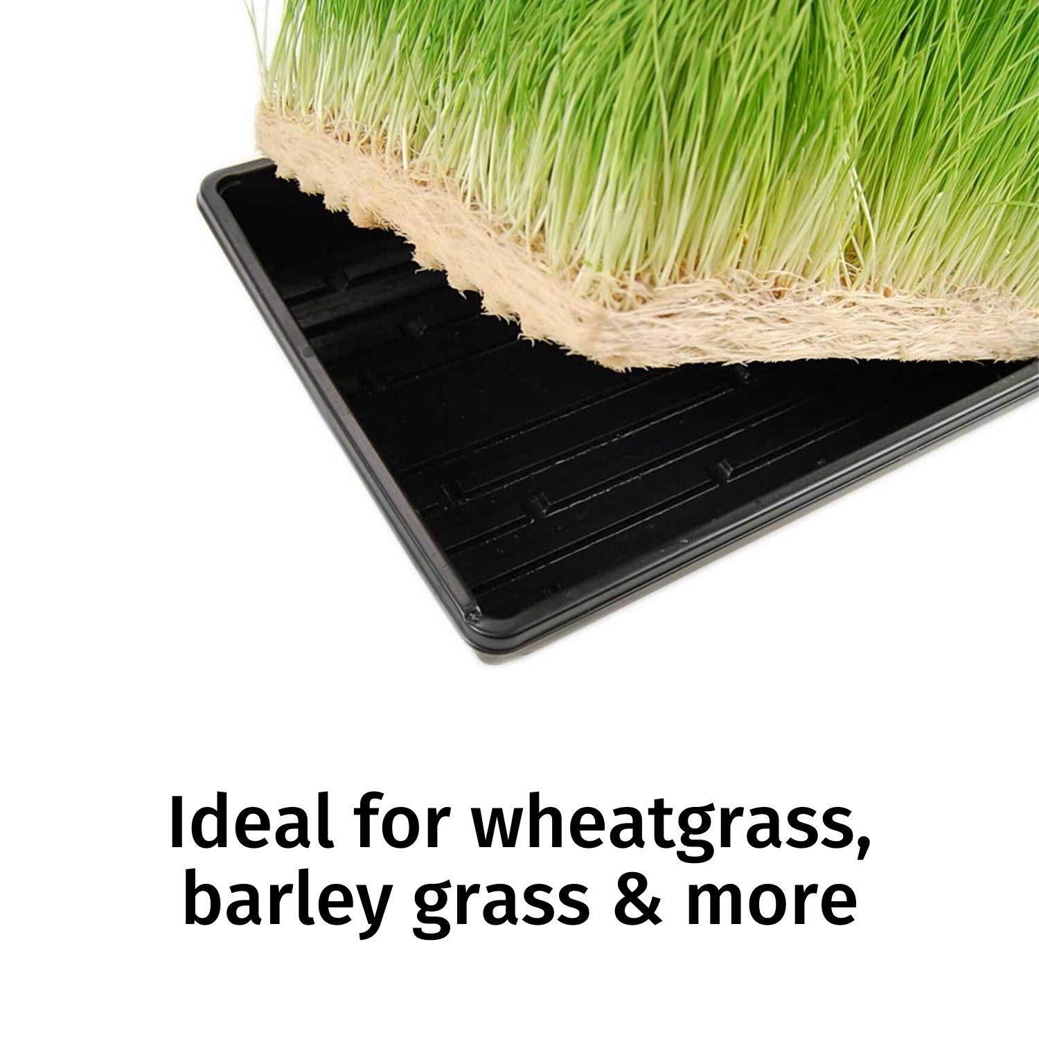 Organic Micro-Mat Minis Hydroponic Grow Pads for Wheatgrass & Microgreens - 4