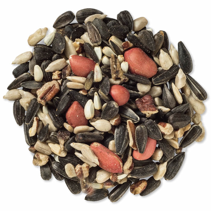 Cole's Special Feeder Wild Bird Seed - Premium 5lb Bag for Attracting Cardinals, Finches & Songbirds | Backyard Bird Watching & Garden Feeding