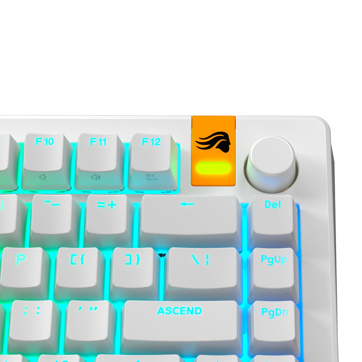 Glorious Gaming GPBT Shine-Through Keycaps - Translucent Symbols, Retro Backlit for Custom Mechanical Keyboards (100%, 75%, 65%, 60% Sizes) - ANSI/ISO Compatible, QWERTY Layout for Windows & MacOS - Perfect for Gaming, Typing & RGB Enthusiasts