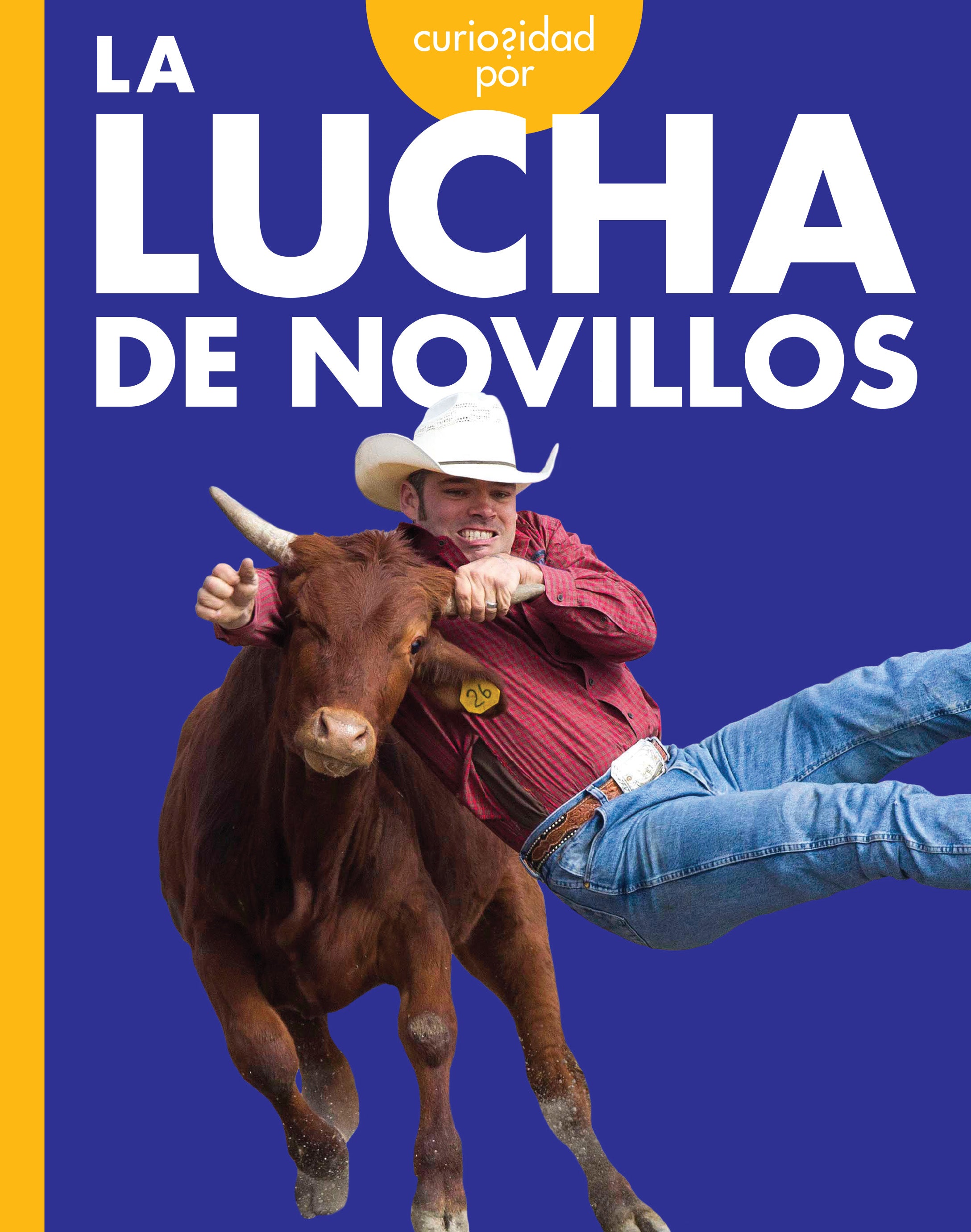 Bullfighting Curiosity - Traditional Spanish Bullfighting Souvenirs & Collectibles for Fans and Enthusiasts | Perfect for Home Decor, Gift Giving, and Cultural Displays