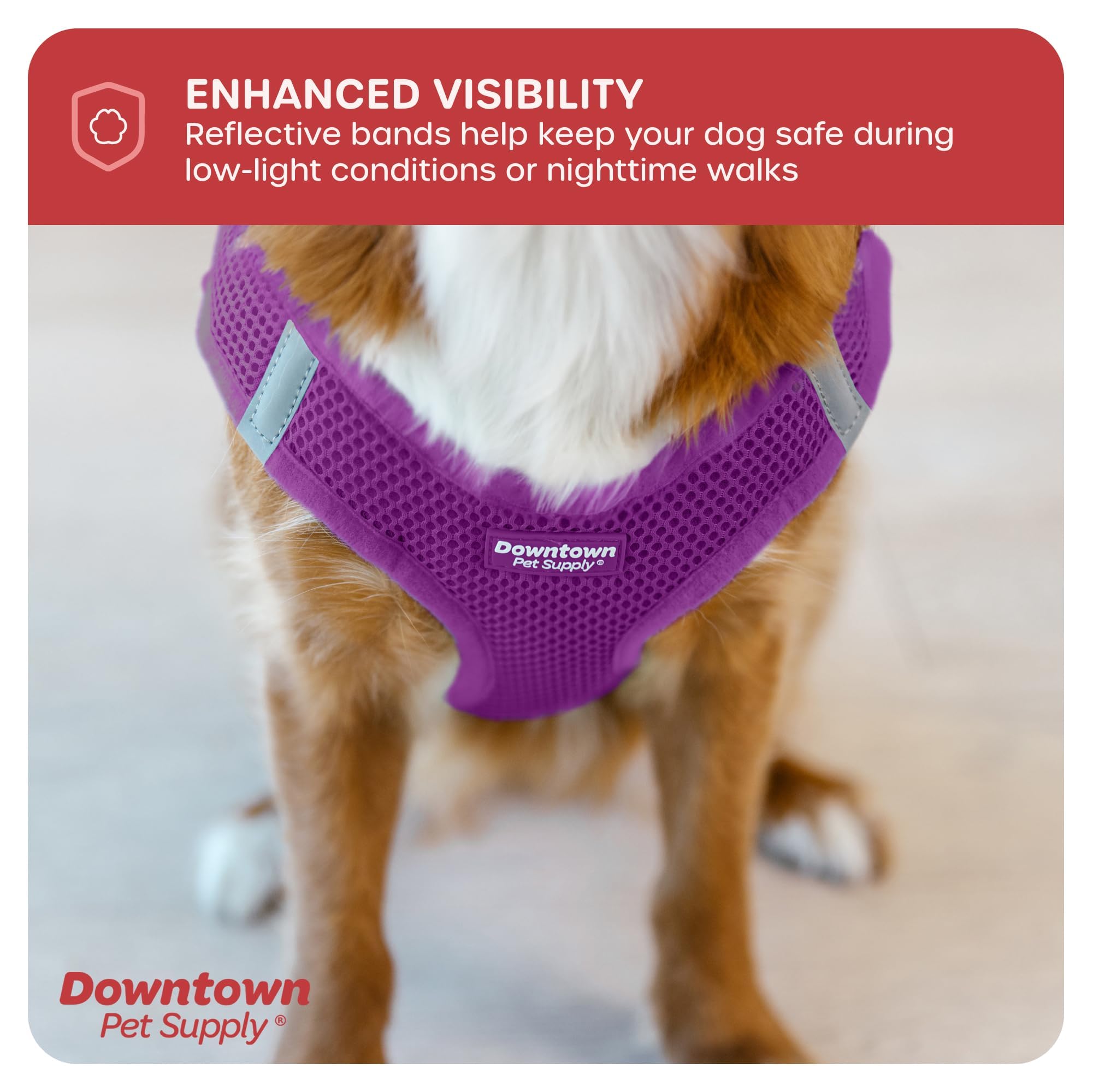 **Downtown Pet Supply No-Pull Step-in Dog Harness for Small Dogs - Adjustable Padded Mesh Harness with Reflective Trim - Purple Small Dog Harness for Walking, Training & Outdoor Adventures**