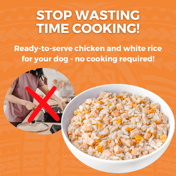KOHA Limited Ingredient Dog Food - Grain Free Chicken & White Rice Recipe for Sensitive Stomachs | Bland Diet for Dogs with Allergies & Digestive Issues | Perfect for Recovery, Transition & Everyday Meals