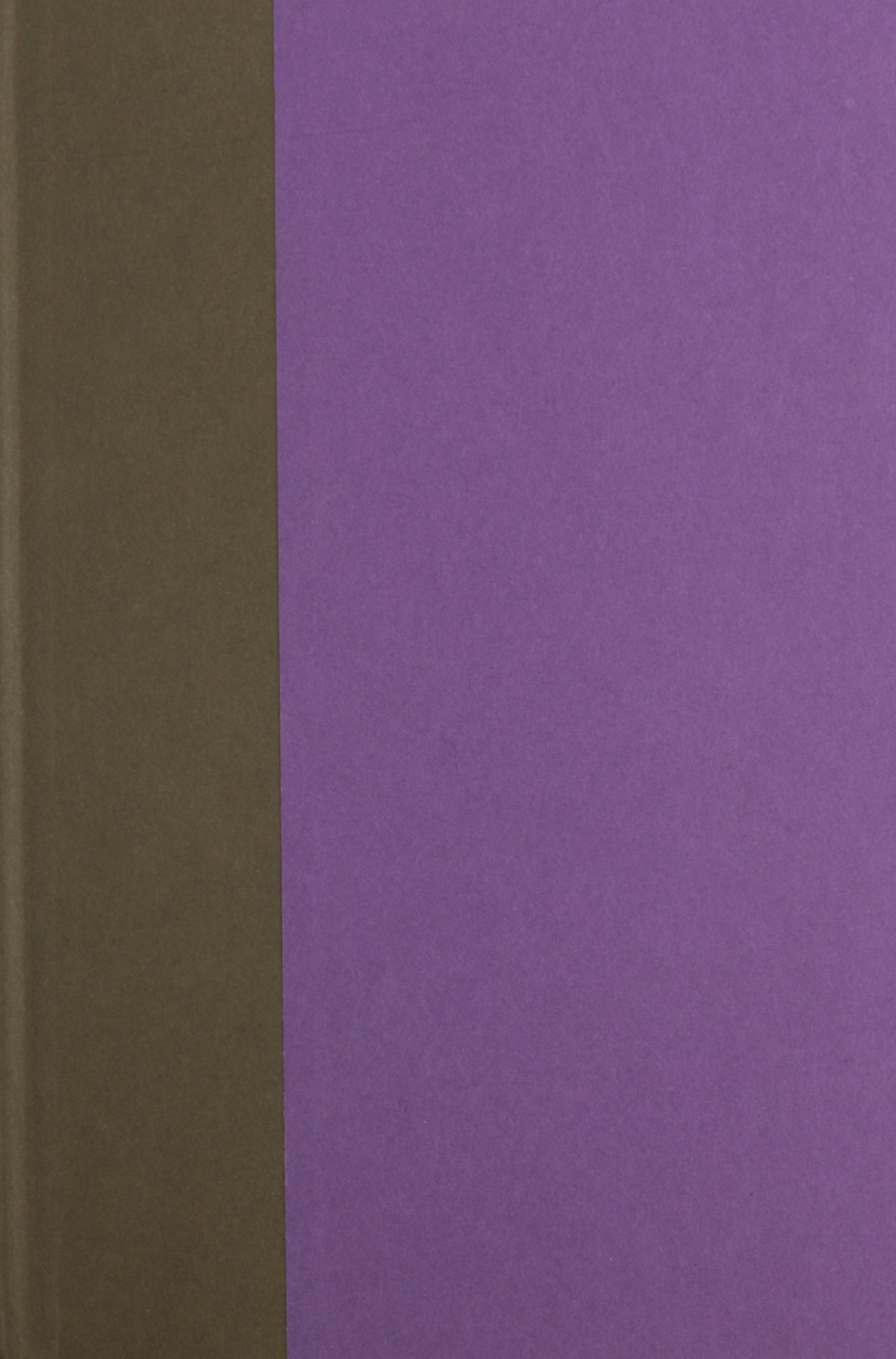 After Sex?: On Writing Since Queer Theory (Series Q) - LGBTQ+ Literary Criticism & Gender Studies Book for Academic Research & Queer Theory Discussions