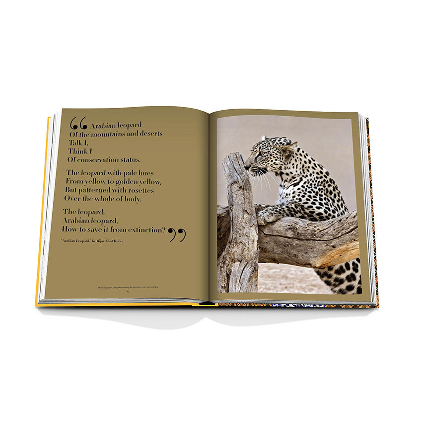 Assouline Arabian Leopard Coffee Table Book - Luxury Wildlife Photography & Conservation Stories - Perfect for Home Decor, Coffee Table Display, and Gift Giving