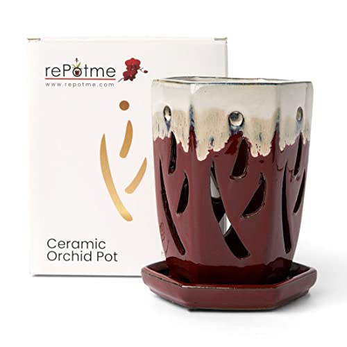 Cream Over Garnet