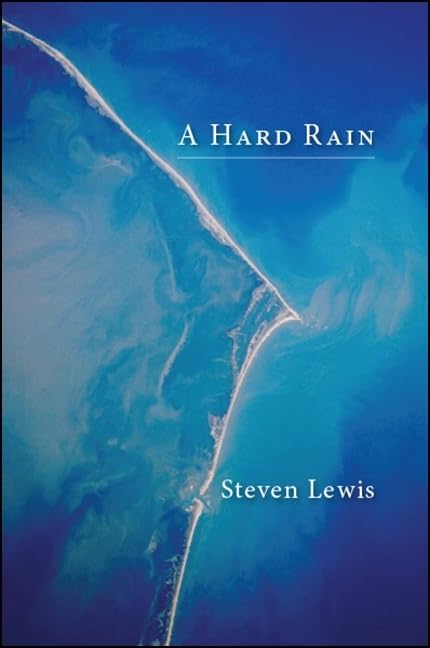 A Hard Rain by Codhill Press - Poetry Collection for Literary Enthusiasts | Perfect for Book Clubs & Thoughtful Gifts