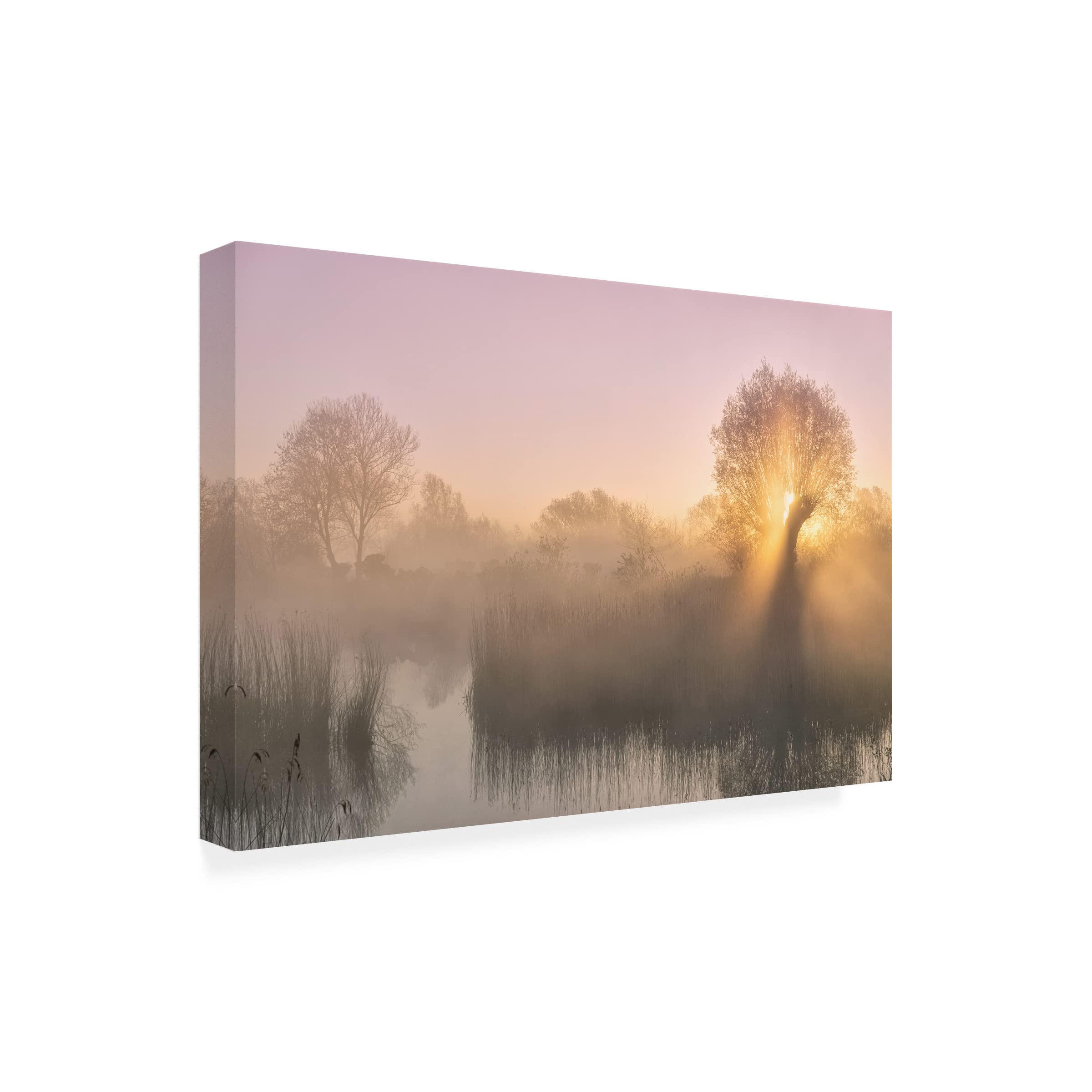Trademark Fine Art 'Silence' by Ellen Borggreve - Stunning Landscape Canvas Wall Art for Living Room, Bedroom & Office Decor
