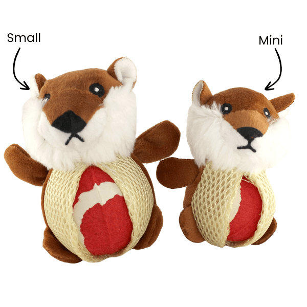 Gnawsome 2-in-1 Assorted Forest Friends Chew Toys for Puppies - Teething Relief & Dental Care - Perfect for Small & Medium Dog Breeds (Fox, Raccoon, Squirrel) - Indoor & Outdoor Playtime Fun