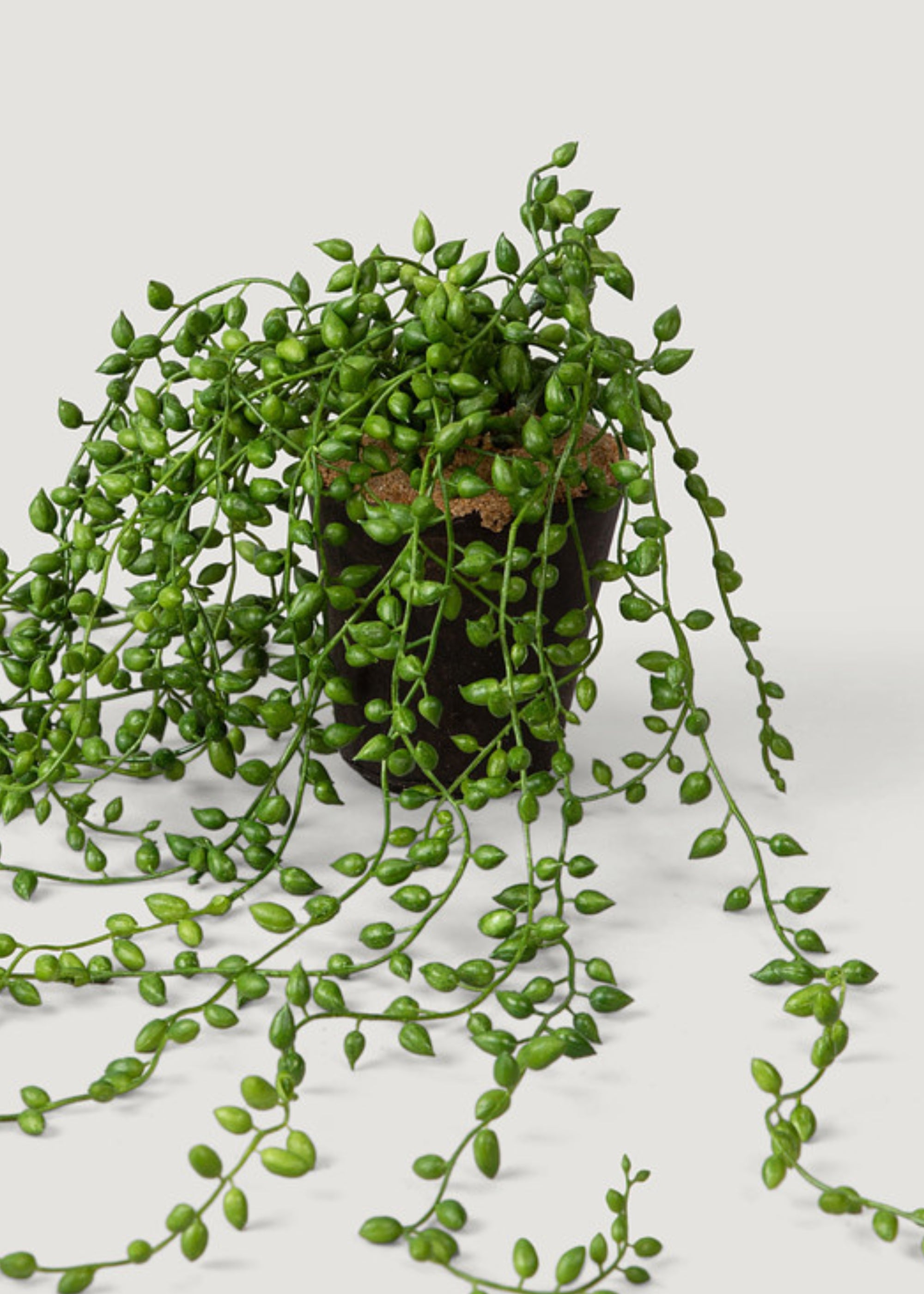 Artificial String of Pearls Succulent Hanging Plant - 17