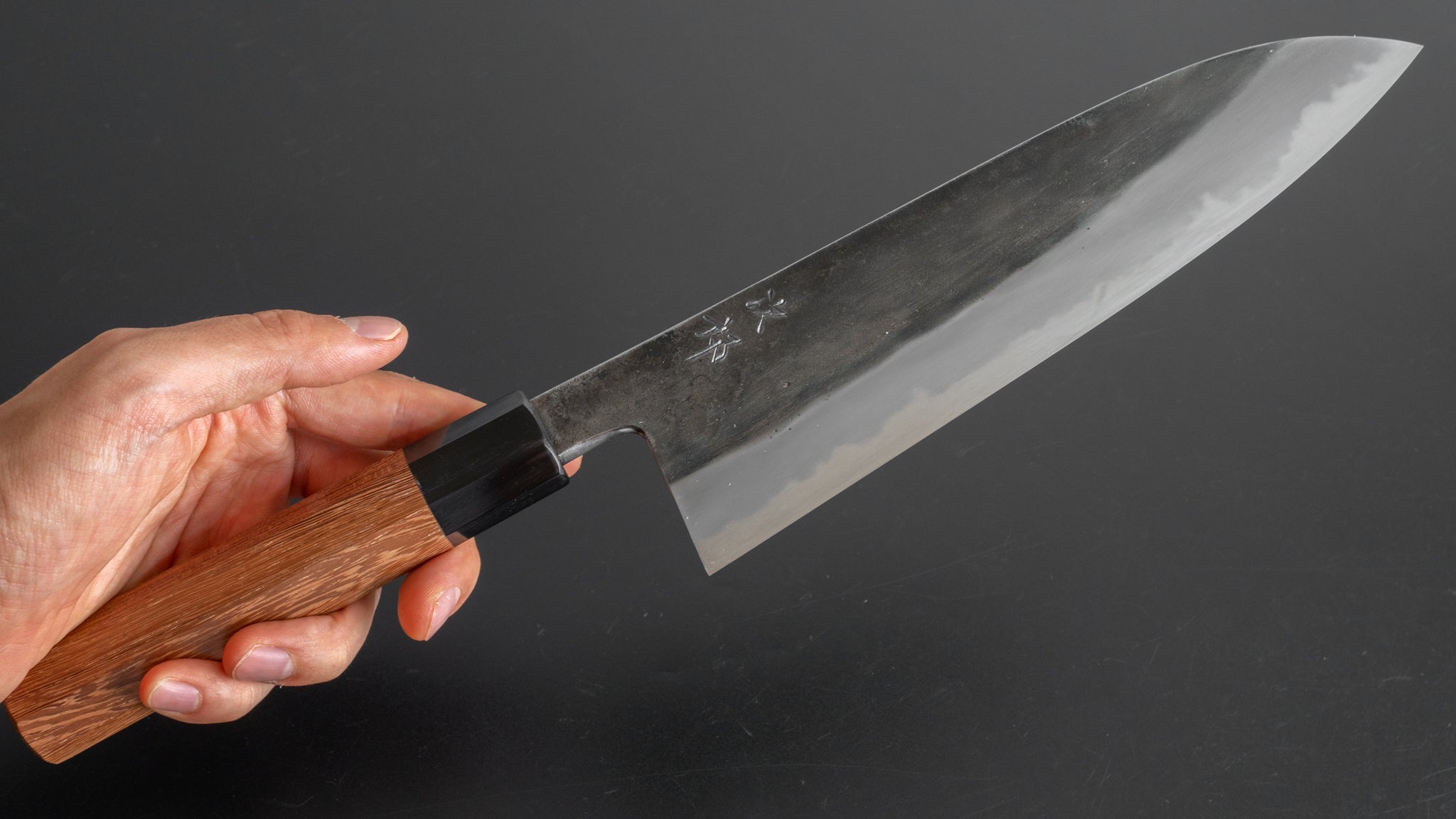 Premium Jiro Tsuchime Wa Gyuto 210mm Japanese Chef Knife with Taihei Tagayasan Handle - Perfect for Sushi, Meat Slicing & Professional Kitchen Use